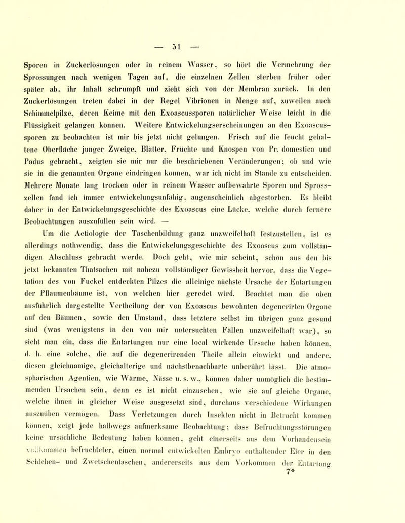 Sporen in Zuckerlösungen oder in reinem Wasser, so hört die Vermehrung- der Sprossungen nach wenigen Tagen auf, die einzelnen Zellen sterben früher oder später ab, ihr Inhalt schrumpft und zieht sich von der Membran zurück. In den Zuckerlösungen treten dabei in der Regel Vibrionen in Menge auf, zuweilen auch Schimmelpilze, deren Keime mit den Exoascussporen natürlicher Weise leicht in die Flüssigkeit gelangen können. Weitere Entwickelungserscheinungen an den Exoascus- sporen zu beobachten ist mir bis jetzt nicht gelungen. Frisch auf die feucht gehal- tene Oberfläche junger Zweige, Blätter, Früchte und Knospen von Pr. domestica und Padus gebracht, zeigten sie mir nur die beschriebenen Veränderungen; ob und wie sie in die genannten Organe eindringen können, war ich nicht im Stande zu entscheiden. Mehrere Monate lang trocken oder in reinem Wasser aufbewahrte Sporen und Spross- zellen fand ich immer entwickehmgsunfähig, augenscheinlich abgestorben. Es bleibt daher in der Entwickehmgsgeschichte des Exoascus eine Lücke, welche durch fernere Beobachtungen auszufüllen sein wird. — Um die Aetiologie der Taschenbildung ganz unzweifelhaft festzustellen, ist es allerdings nothwendig, dass die Entwicklungsgeschichte des Exoascus zum vollstän- digen Ahschluss gebracht werde. Doch geht, wie mir scheint, schon aus den bis jetzt bekannten Thatsachen mit nahezu vollständiger Gewissheit hervor, dass die Vege- tation des von Fuckel entdeckten Pilzes die alleinige nächste Ursache der Entartungen der Pflaumenbäume ist, von welchen hier geredet wird. Beachtet man die oben ausführlich dargestellte Vertheilung der von Exoascus bewohnten degenerirten Organe auf den Bäumen, sowie den Umstand, dass letztere selbst im übrigen ganz gesund sind (was wenigstens in den von mir untersuchten Fällen unzweifelhaft war), so sieht man ein, dass die Entartungen nur eine local wirkende Ursache haben können, d. h. eine solche, die auf die degenerirenden Theile allein einwirkt und andere, diesen gleichnamige, gleichalterige und nächstbenachbarte unberührt lässt. Die atmo- sphärischen Agenlien, wie Wärme, Nässe u. s. w., können daher unmöglich die bestim- menden Ursachen sein, denn es ist nicht einzusehen, wie sie auf gleiche Organe, welche ihnen in gleicher Weise ausgesetzt sind, durchaus verschiedene Wirkungen auszuüben vermögen. Dass Verletzungen durch Insekten nicht in Betracht kommen können, zeigt jede halbwegs aufmerksame Beobachtung: dass Befruchtungsstörungen keine ursächliche Bedeutung haben können, geht einerseits aus dem Vorhandensein vollkommen befruchteter, einen normal entwickelten Embryo enthallender Eier in den Schlehen- und Zwetschentaschen. andererseits aus dem Vorkommen der Entartung