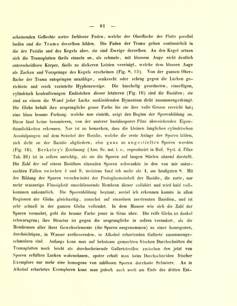 scheinenden Geflechte zarter farbloser Faden, welche der Oberflache der Platte parallel laufen und die Trama derselben bilden. Die Fäden der Trama gehen continuirlich in die der Peridie und des Kegels über, sie sind Zweige derselben. An den Kegel setzen sich die Tramaplatten theils einzeln an, als schmale, mit blossem Auge nicht deutlich unterscheidbare Körper, theils zu dickeren Leisten vereinigt, welche dem blossen Auge als Zacken und Vorsprünge des Kegels erscheinen (Fig. 8, I 5). Von der ganzen Ober- fläche der Trama entspringen unzählige, senkrecht oder schräg gegen die Lücken ge- richtete und reich verästelte Hyphenzweige. Die büschelig geordneten, einzelligen, cylindrisch keulenförmigen Endästchen dieser letzteren (Fig. 16) sind die Basidien: sie sind zu einem die Wand jeder Lücke auskleidenden Hymenium dicht zusammengedrängt. Die Gieba behält ihre ursprüngliche graue Farbe bis sie ihre volle Grösse erreicht hat; eine blass braune Färbung, welche nun eintritt, zeigt den Beginn der Sporenbildung an. Diese lässt keine besonderen, von der anderer basidiosporer Pilze abweichenden Eigen- thümlichkeiten erkennen. Nur ist zu bemerken, dass die kleinen länglichen cylindrischen Ausstülpungen auf dem Scheitel der Basidie. welche die erste Anlage der Sporen bilden, sich dicht an der Basidie abgliedern, also ganz zu ungestielten Sporen werden (Fig. 16). Berkeley's Zeichnung (Ann. Sc. nat. I. c, reproducirt in BaiL Syst. d. Pilze Tab. 26) ist in sofern unrichtig, als sie die Sporen auf langen Stielen sitzend darstellt. Die Zahl der auf einem Basidium silzenden Sporen schwankte in den von mir unter- suchten Fällen zwischen 4 und 9. meistens fand ich mehr als 4, am häufigsten 8. Mit der Bildung der Sporen verschwindet der Proloplasmainhalt der Basidie, die zarte, nur mehr wässerige Flüssigkeit umschliessende Membran dieser collabirt und wird bald voll- kommen unkennllich. Die Sporenbildung beginnt, soviel ich erkennen konnte in allen Regionen der Gieba gleichzeitig, zunächst auf einzelnen zerstreuten Basidien, und ist sehr schnell in der ganzen Gieba vollendet. In dem Maasse wie sich die Zahl der Sporen vermehrt, geht die braune Farbe jener in Grün über. Die reife Gieba ist dunkel schwarzgrün; ihre Struclur ist gegen die ursprüngliche in sofern verändert, als die Membranen aller ihrer Gewebselemente (die Sporen ausgenommen) zu einer homogenen, durchsichtigen, in Wasser zerlliessenden. in Alkohol erhärlenden Gallerte zusammenge- schmolzen sind. Anfangs kann man auf behutsam gemaclilen frischen Durchschnitten die Tramaplatten noch leicht als durchscheinende Gallerlstreifen zwischen den jelzt von Sporen erfüllten Lücken wahrnehmen, spater erhält man heim Durchschneiden frischer Exemplare nur mehr eine homogene von zahllosen Sporen durchsäte Schmiere. An in Alkohol erhärteten Exemplaren kann man jedoch auch noch am Ende des dritten Ent-