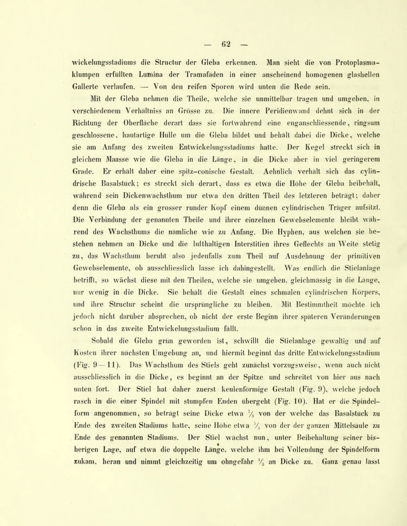 wickelungsstadiums die Structur der Gieba erkennen. Man sieht die von Protoplasma- klumpen erfüllten Lumina der Tramafäden in einer anscheinend homogenen glashellen Gallerte verlaufen. — Von den reifen Sporen wird unten die Rede sein. Mit der Gieba nehmen die Theile, welche sie unmittelbar trafen und umgeben, in verschiedenem Verhältniss an Grösse zu. Die innere Peridienwand dehnt sich in der Richtung der Oberfläche derart dass sie fortwährend eine enganschliessende, ringsum geschlossene, hautartige Hülle um die Gieba bildet und behält dabei die Dicke, welche sie am Anfang des zweiten Entwickelungsstadiums hatte. Der Kegel streckt sich in gleichem Maasse wie die Gieba in die Länge, in die Dicke aber in viel geringerem Grade. Er erhält daher eine spitz-conische Gestalt. Aehnlich verhält sich das cylin- drische Basalstück; es streckt sich derart, dass es etwa die Höhe der Gieba beibehält, während sein Dickenwachsthum nur etwa den dritten Theil des letzteren beträgt; daher denn die Gieba als ein grosser runder Kopf einem dünnen cylindrischen Träger aufsitzt. Die Verbindung der genannten Theile und ihrer einzelnen Gewebselemente bleibt wäh- rend des Wachsthums die nämliche wie zu Anfang. Die Hyphen, aus welchen sie be- stehen nehmen an Dicke und die lufthaltigen Interstitiell ihres Geflechts an Weite stetig zu, das Wachsthum beruht also jedenfalls zum Theil auf Ausdehnung der primitiven Gewebselemente, ob ausschliesslich lasse ich dahingestellt. Was endlich die Stielanlage betrifft, so wächst diese mit den Theilen, welche sie umgeben, gleichmässig in die Länge, nur wenig in die Dicke. Sie behält die Gestalt eines schmalen cylindrischen Körpers, und ihre Structur scheint die ursprüngliche zu bleiben. Mit Bestimmtheit möchte ich jedoch nicht darüber absprechen, ob nicht der erste Beginn ihrer späteren Veränderungen schon in das zweite Entwickelungsstadium fällt. Sobald die Gieba grün geworden ist, schwillt die Stielanlage gewallig und auf Kosten ihrer nächsten Umgebung an, und hiermit beginnt das dritte Entwickelungsstadium (Fig. 9 —11). Das Wachsthum des Stiels geht zunächst vorzugsweise, wenn auch nicht ausschliesslich in die Dicke, es beginnt an der Spitze und schreitet von hier aus nach unten fort. Der Stiel hat daher zuerst keulenförmige Gestalt (Fig. 9), welche jedoch rasch in die einer Spindel mit stumpfen Enden übergeht (Fig. 10). Hat er die Spindel- form angenommen, so beträgt seine Dicke etwa 7/3 von der welche das Basalstück zu Ende des zweiten Stadiums hatte, seine Höhe etwa % von der der ganzen Mittelsäule zu Ende des genannten Stadiums. Der Stiel wächst nun, unter Beibehaltung seiner bis— herigen Lage, auf etwa die doppelte Länge, welche ihm bei Vollendung der Spindelfonn zukam, heran und nimmt gleichzeitig um ohngefähr V3 an Dicke zu. Ganz genau lasst