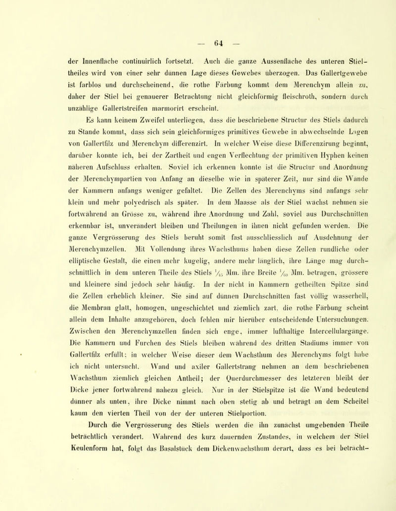 der Innenflache continuirlich fortsetzt. Auch die ganze Aussenfläche des unteren Stiel— theiles wird von einer sehr dünnen Lage dieses Gewebes überzogen. Das Gallertgewebe ist farblos und durchscheinend, die rothe Färbung kommt dem Merenchym allein zu, daher der Stiel bei genauerer Betrachtung nicht gleichförmig fleischroth, sondern durch unzählige Gallertstreifen marmorirt erscheint. Es kann keinem Zweifel unterliegen, dass die beschriebene Structur des Stiels dadurch zu Stande kommt, dass sich sein gleichförmiges primitives Gewebe in abwechselnde L;igen von Gallerlfdz und Merenchym dilferenzirt. In welcher Weise diese Dih*erenzirung beginnt, darüber konnte ich, bei der Zartheit und engen Verflechtung der primitiven Hyphen keinen näheren Aufschluss erhalten. Soviel ich erkennen konnte ist die Struclur und Anordnung der Merenchymparlien von Anfang an dieselbe wie in späterer Zeil, nur sind die Wände der Kammern anfangs weniger gefaltet. Die Zellen des Merenchyms sind anfangs sehr klein und mehr polyedrisch als später. In dem Maasse als der Stiel wächst nehmen sie fortwährend an Grösse zu, während ihre Anordnimg und Zahl, soviel aus Durchschnitten erkennbar ist, unverändert bleiben und Theilungen in ihnen nicht gefunden werden. Die ganze Vergrösserung des Stiels beruht somit fast ausschliesslich auf Ausdehnung der Merenchymzellen. Mit Vollendung ihres Wachsthums haben diese Zellen rundliche oder elliptische Gestalt, die einen mehr kugelig, andere mehr länglich, ihre Länge mag durch- schnittlich in dem unteren Theile des Stiels l/{-t Mm. ihre Breite %, Mm. betragen, grössere und kleinere sind jedoch sehr häufig. In der nicht in Kammern getheilten Spitze sind die Zellen erheblich kleiner. Sie sind auf dünnen Durchschnitten fast völlig wasserhell, die Membran glatt, homogen, ungeschichtet und ziemlich zart, die rothe Färbung scheint allein dem Inhalte anzugehören, doch fehlen mir hierüber entscheidende Untersuchungen. Zwischen den 31erenchymzellen finden sich enge, immer lufthaltige Intercellulargänge. Die Kammern und Furchen des Stiels bleiben während des dritten Stadiums immer von Gallertfilz erfüllt: in welcher Weise dieser dem Wachsthum des Merenchyms folgt habe ich nicht untersucht. Wand und axiler Gallertstrang' nehmen an dem beschriebenen Wachsthum ziemlich gleichen Antheil; der Querdurchmesser des letzteren bleibt der Dicke jener fortwährend nahezu gleich. Nur in der Stielspitze ist die Wand bedeutend dünner als unten, ihre Dicke nimmt nach oben stetig ab und beträgt an dem Scheitel kaum den vierten Theil von der der unteren Slielportion. Durch die Vergrösserung des Stiels werden die ihn zunächst umgebenden Theile beträchtlich verändert. Wahrend des kurz dauernden Zustandes, in welchem der Stiel Keulenform hat, folgt das Basalslück dem Dickenwachslhum derart, dass es bei betracht-