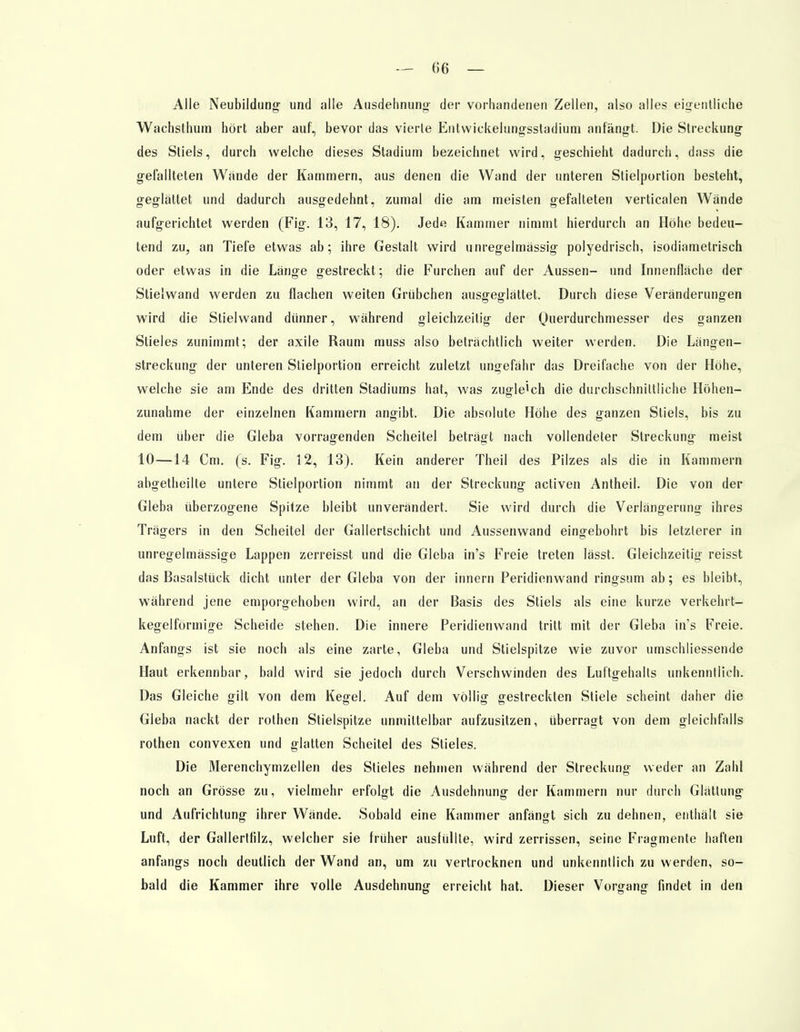 Alle Neubildung- und alle Ausdehnung der vorhandenen Zellen, also alles eigentliche Wachsthum hört aber auf, bevor das vierte Entwiekelungsstadium anfängt. Die Streckung des Stiels, durch welche dieses Stadium bezeichnet wird, geschieht dadurch, dass die gefallteten Wände der Kammern, aus denen die Wand der unteren Stielportion besteht, geglättet und dadurch ausgedehnt, zumal die am meisten gefalteten verticalen Wände aufgerichtet werden (Fig. 13, 17, 18). Jede Kammer nimmt hierdurch an Höhe bedeu- tend zu, an Tiefe etwas ab; ihre Gestalt wird unregelmässig polyedrisch, isodiametrisch oder etwas in die Länge gestreckt; die Furchen auf der Aussen- und Innenfläche der Stielwand werden zu flachen weiten Grübchen ausgeglättet. Durch diese Veränderungen wird die Stielwand dünner, während gleichzeitig der Querdurchmesser des ganzen Stieles zunimmt; der axile Raum muss also beträchtlich weiter werden. Die Längen- streckung der unteren Stielportion erreicht zuletzt ungefähr das Dreifache von der Höhe, welche sie am Ende des dritten Stadiums hat, was zugleich die durchschnittliche Höhen- zunahme der einzelnen Kammern angibt. Die absolute Höhe des ganzen Stiels, bis zu dem über die Gieba vorragenden Scheitel beträgt nach vollendeter Streckung meist 10—14 Cm. (s. Fig. 12, 13). Kein anderer Theil des Pilzes als die in Kammern abgetheilte untere Stielportion nimmt an der Streckung activen Antheil. Die von der Gieba überzogene Spitze bleibt unverändert. Sie wird durch die Verlängerung ihres Trägers in den Scheitel der Gallertschicht und Aussenwand eingebohrt bis letzlerer in unregelmässige Lappen zerreisst und die Gieba in's Freie treten lässt. Gleichzeitig reisst das Basalstück dicht unter der Gieba von der innern Peridienwand ringsum ab; es bleibt, während jene emporgehoben wird, an der Basis des Stiels als eine kurze verkehrt- kegelförmige Scheide stehen. Die innere Peridienwand tritt mit der Gieba in's Freie. Anfangs ist sie noch als eine zarte, Gieba und Stielspitze wie zuvor umschliessende Haut erkennbar, bald wird sie jedoch durch Verschwinden des Luftgehalts unkenntlich. Das Gleiche gilt von dem Kegel, Auf dem völlig gestreckten Stiele scheint daher die Gieba nackt der rothen Stielspitze unmittelbar aufzusitzen, überragt von dem gleichfalls rothen convexen und glatten Scheitel des Stieles. Die Merenchymzellen des Stieles nehmen während der Streckung weder an Zahl noch an Grösse zu, vielmehr erfolgt die Ausdehnung der Kammern nur durch Glätlung und Aufrichtung ihrer Wände. Sobald eine Kammer anfängt sich zu dehnen, enthält sie Luft, der Gallertlilz, welcher sie früher ausfüllte, wird zerrissen, seine Fragmente haften anfangs noch deutlich der Wand an, um zu vertrocknen und unkenntlich zu werden, so- bald die Kammer ihre volle Ausdehnung erreicht hat. Dieser Vorffang- findet in den