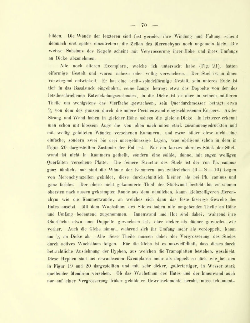 bilden. Die Wände der letzteren sind fast gerade, ihre Windung und Faltung scheint demnach erst spater einzutreten; die Zellen des Merenchyms noch ungemein klein. Die weisse Substanz des Kegels scheint mit Vergrössenmg ihrer Höhe und ihres Umfangs an Dicke abzunehmen. Alle noch älteren Exemplare, welche ich untersucht habe (Fig. 21). hatten eiförmige Gestalt und waren nahezu oder völlig verwachsen. Der Stiel ist in ihnen vorwiegend entwickelt. Er hat eine breit-spindelförmige Gestalt, sein unteres Ende ist tief in das Basalstück eingebohrt, seine Länge beträgt etwa das Doppelte von der des letztheschriebenen Entwickelungszuslandes, in die Dicke ist er aber in seinem mittleren Theile um wenigstens das Vierfache gewachsen, sein Querdurchmesser beträgt etwa % von dem des ganzen durch die innere Peridienwand eingeschlossenen Körpers. Axiler Strang und Wand haben in gleicher Höhe nahezu die gleiche Dicke. In letzterer erkennt man schon mit blossem Auge die von oben nach unten stark zusammengedrückten und mit wellig gefalteten Wänden versehenen Kammern, und zwar bilden diese nicht eine einfache, sondern zwei bis drei unregelmässige Lagen, was übrigens schon in dem in Figur 20 dargestellten Zustande der Fall ist. Nur ein kurzes oberstes Stück der Stiel- wand ist nicht in Kammern getheilt, sondern eine solide, dünne, mit engen welligen Querfalten versehene Platte. Die feinere Structur des Stiels ist der von Ph. caninus ganz ähnlich, nur sind die Wände der Kammern aus zahlreichen (6 — 8—10) Lagen von Merenchymzellen gebildet, diese durchschnittlich kleiner als bei Ph. caninus und ganz farblos. Der obere nicht gekammerle Theil der Stiel wand besteht bis zu seinem obersten nach aussen gekrämpten Rande aus dem nämlichen, kaum kleinzelligeren Meren- chym wie die Kammerwände, an welches sich dann das feste faserige Gewebe des Hutes ansetzt. Mit dem Wachsthum des Stieles haben alle umgebenden Theile an Höhe und Umfang bedeutend zugenommen. Innenwand und Hut sind dabei. während ihre Oberfläche etwa ums Doppelte gewachsen ist, eher dicker als dünner geworden wie vorher. Auch die Gieba nimmt, während sich ihr Umfang mehr als verdoppelt, kaum um an Dicke ab. Alle diese Theile müssen daher der Vergrösserung des Stieles durch actives Wachsthum folgen. Für die Gieba ist es unzweifelhaft, dass dieses durch beträchtliche Ausdehnung der Hyphen, aus welchen die Tramaplatten bestehen, geschieht. Diese Hyphen sind bei erwachsenen Exemplaren mehr als doppelt so dick vviej>ei den in Figur 19 und 20 dargestellten und mit sehr dicker, gallertartiger, in Wasser stark quellender Membran versehen. Ob das Wachsthum des Hutes und der Innenwand auch nur auf einer Vergrösserung früher gebildeter Gewebselemenle beruht, muss ich unent-