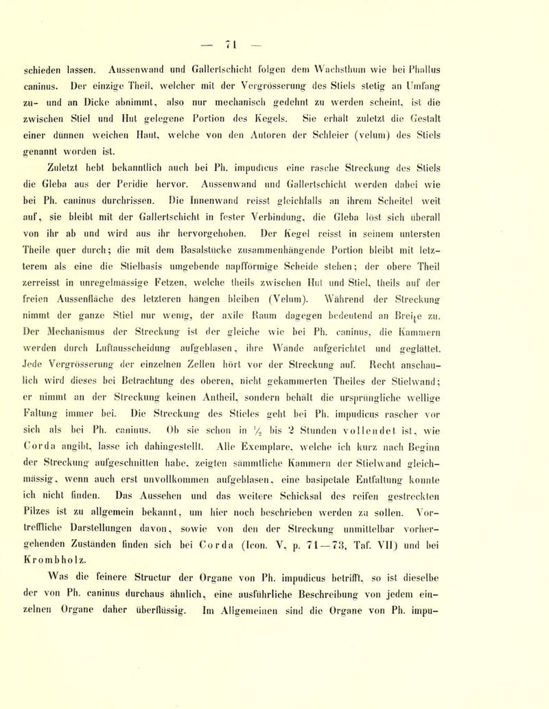 schieden lassen. Aussenwand und Gallertschicht folgen dem Wachsthum wie bei Phallus caninus. Der einzige TheiL welcher mit der Vergrösserung des Stiels stetig an Umfang zu- und an Dicke abnimmt, also nur mechanisch gedehnt zu werden scheint, ist die zwischen Stiel und Hut gelegene Portion des Kegels. Sie erhalt zuletzt die Gestalt einer dünnen weichen Haut, welche von den Autoren der Schleier (velum) des Stiels genannt worden ist. Zuletzt hebt bekanntlich auch bei Ph. impudicus eine rasche Streckung des Stiels die Gieba aus der Peridie hervor. Aussenwand und Gallertschicht werden dabei wie bei Ph. caninus durchrissen. Die Innenwand reisst Gleichfalls an ihrem Scheitel weit auf, sie bleibt mit der Gallertschicht in fester Verbindung, die Gieba löst sich überall von ihr ab und wird aus ihr hervorgehoben. Der Kegel reisst in seinem untersten Theile quer durch; die mit dem Basalstücke zusammenhängende Portion bleibt mit letz- terem als eine die Stielbasis umgebende napfförmige Scheide stehen; der obere Theil zerreisst in unregelmässige Fetzen, welche theils zwischen Hut und Stiel, theils auf der freien Aussenfläche des letzteren hängen bleiben (Velum). Während der Streckung nimmt der ganze Stiel nur wenig, der axile Raum dagegen bedeutend an Breide zu. Der Mechanismus der Streckung ist der gleiche wie bei Ph. caninus, die Kammern werden durch Luftausscheidung aufgeblasen, ihre Wände aufgerichtet und geglättet. Jede Vergrösserung der einzelnen Zellen bort vor der Streckung auf Recht anschau- lich wird dieses bei Betrachtung des oberen, nicht gehämmerten Theiles der Stielwand; er nimmt an der Streckung keinen Antheil, sondern behält die ursprüngliche wellige Faltung immer bei. Die Streckung des Stieles geht bei Ph. impudicus rascher vor sich als bei Ph. caninus. Ob sie schon in bis 2 Stunden vollendet ist, wie Cor da angibt, lasse ich dahingestellt. Alle Exemplare, welche ich kurz nach Beginn der Streckung aufgeschnitten habe, zeigten sämmtliche Kammern der Südwand gleich- mässig, wenn auch erst unvollkommen aufgeblasen, eine basipetale Entfaltung konnte ich nicht finden. Das Aussehen und das weitere Schicksal des reifen gestreckten Pilzes ist zu allgemein bekannt, um hier noch beschrieben werden zu sollen. Vor- treffliche Darstellungen davon, sowie von den der Streckung unmittelbar vorher- gehenden Zuständen linden sich bei Cor da (Icon. V, p. 71 — 73. Taf. VII) und bei K r o m b h o 1 z. Was die feinere Structur der Organe von Ph. impudicus betrifft, so ist dieselbe der von Ph. caninus durchaus ähnlich, eine ausführliche Beschreibung von jedem ein- zelnen Organe daher überflüssig. Im Allgemeinen sind die Organe von Ph. impu-