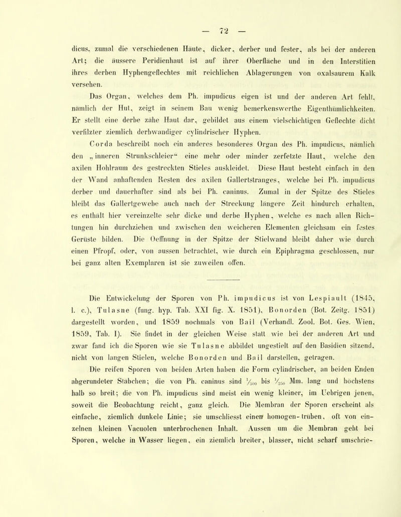 dicus, zumal die verschiedenen Häute, dicker, derber und fester, als bei der anderen Art; die äussere Peridienhaut ist auf ihrer Oberfläche und in den Interstitien ihres derben Hyphengeflechtes mit reichlichen Ablagerungen von oxalsaurem Kalk versehen. Das Organ, welches dem Ph. impudicus eigen ist und der anderen Art fehlt, nämlich der Hut, zeigt in seinem Bau wenig bemerkenswerthe Eigentümlichkeiten. Er stellt eine derbe zähe Haut dar, gebildet aus einem vielschichtigen Geflechte dicht verfilzter ziemlich derbwandiger cylindrischer Hyphen. Corda beschreibt noch ein anderes besonderes Organ des Ph. impudicus, nämlich den „inneren Strunkschleier'' eine mehr oder minder zerfetzte Haut, welche den axilen Hohlraum des gestreckten Stieles auskleidet. Diese Haut besteht einfach in den der Wand anhaftenden Resten des axilen Gallertstranges, welche bei Ph. impudicus derber und dauerhafter sind als bei Ph. caninus. Zumal in der Spitze des Stieles bleibt das Gallertgewebe auch nach der Streckung längere Zeit hindurch erhalten, es enthält hier vereinzelte sehr dicke und derbe Hyphen, welche es nach allen Rich- tungen hin durchziehen und zwischen den weicheren Elementen gleichsam ein festes Gerüste bilden. Die Oelfnung in der Spitze der Stielwand bleibt daher wie durch einen Pfropf, oder, von aussen betrachtet, wie durch ein Epiphragma geschlossen, nur bei ganz alten Exemplaren ist sie zuweilen offen. Die Entwickelung der Sporen von Ph. impudicus ist von Lespiault (1845, 1. c), Tulasne (fung. hyp. Tab. XXI fig. X. 1851), Bonorden (Bot. Zeitg. 1851) dargestellt worden, und 1859 nochmals von Bail (Verhandl. Zool. Bot. Ges. Wien, 1859, Tab. I). Sie findet in der gleichen Weise statt wie bei der anderen Art und zwar fand ich die Sporen wie sie Tulasne abbildet ungestielt auf den Basidien sitzend, nicht von langen Stielen, welche Bonorden und Bail darstellen, getragen. Die reifen Sporen von beiden Arten haben die Form cylindrischer, an beiden Enden abgerundeter Stäbclien; die von Ph. caninus sind l/.m bis Vm Mm. lang und höchstens halb so breit; die von Ph. impudicus sind meist ein wenig kleiner, im Uebrigen jenen, soweit die Beobachtung reicht, ganz gleich. Die Membran der Sporen erscheint als einfache, ziemlich dunkele Linie; sie umschliesst einen* homogen-trüben, oft von ein- zelnen kleinen Vacuolen unterbrochenen Inhalt. Aussen um die Membran geht bei Sporen, welche in Wasser liegen, ein ziemlich breiter, blasser, nicht scharf umschrie-