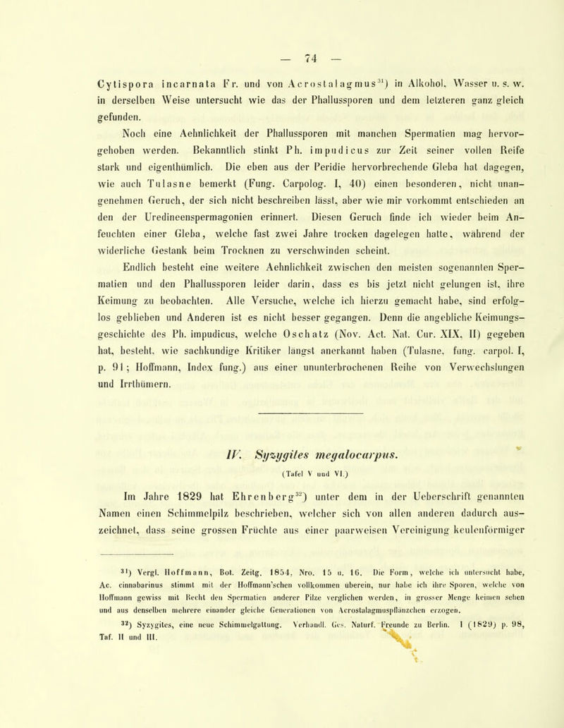 Cytispora incarnata Fr. und von Acrostalagmus n) in Alkohol. Wasser u. s. w. in derselben Weise untersucht wie das der Phallussporen und dem letzteren ganz gleich gefunden. Noch eine Aehnlichkeit der Phallussporen mit manchen Spermatien mag hervor- gehoben werden. Bekanntlich stinkt Ph, irnpudicus zur Zeit seiner vollen Reife stark und eigenlhümlich. Die eben aus der Peridie hervorbrechende Gieba hat dagegen, wie auch Tulasne bemerkt (Fung. Carpolog. I, 40) einen besonderen, nicht unan- genehmen Geruch, der sich nicht beschreiben lässt, aber wie mir vorkommt entschieden an den der Uredineenspermagonien erinnert. Diesen Geruch finde ich wieder beim An- feuchten einer Gieba, welche fast zwei Jahre trocken dagelegen hatte, wahrend der widerliche Gestank beim Trocknen zu verschwinden scheint. Endlich besteht eine weitere Aehnlichkeit zwischen den meisten sogenannten Sper- matien und den Phallussporen leider darin, dass es bis jetzt nicht gelungen ist, ihre Keimung zu beobachten. Alle Versuche, welche ich hierzu gemacht habe, sind erfolg- los geblieben und Anderen ist es nicht besser gegangen. Denn die angebliche Keimungs- geschichte des Ph. irnpudicus, welche Oschatz (Nov. Act. Nat. Cur. XIX, II) gegeben hat, besteht, wie sachkundige Kritiker langst anerkannt haben (Tulasne, fung. carpol. I, p. 91; Hoffmann, Index fung.) aus einer ununterbrochenen Reihe von Verwechslungen und Irrthümern. IV. Syzygites megalocarpus. (Tafel V und VI.) Im Jahre 1829 hat Ehrenberg32) unter dem in der Ueberschrift genannten Namen einen Schimmelpilz beschrieben, welcher sich von allen anderen dadurch aus- zeichnet, dass seine grossen Früchte aus einer paarweisen Vereinigung keulenförmiger 31) Vergl. Hoffmann, Bot. Zeitg. 1854. Nro. 15 u. 16. Die Form, welche ich untersucht habe, Ac. cinnabarinus stimmt mil der Hoffmantrschen vollkommen überein, nur habe icli ihre Sporen, welche von Hoffmann gewiss mit Hecht den Spermatien anderer Pilze verglichen werden, in grosser Menge keimen sehen und aus denselben mehrere einander gleiche Generationen von Acrostalagmuspflanzchen erzogen. 3i) Syzygites, eine neue Schimmelgattung. Verhandl. Ges. Naturf. Freunde zu Berlin. I (1829) p. t)8,
