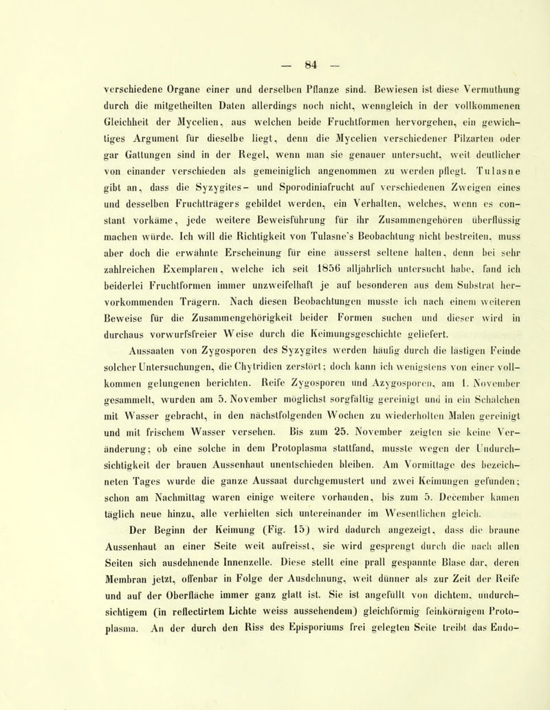 verschiedene Organe einer und derselben Pflanze sind. Bewiesen ist diese Vermuthung durch die mitgetheilten Daten allerdings noch nicht, wenngleich in der vollkommenen Gleichheit der Mycelien, aus welchen beide Fruchtformen hervorgehen, ein gewich- tiges Argument für dieselbe liegt, denn die Mycelien verschiedener Pilzarten oder gar Gattungen sind in der Regel, wenn man sie genauer untersucht, weit deutlicher von einander verschieden als gemeiniglich angenommen zu werden pflegt. Tulasne gibt an, dass die Syzygites- und Sporodiniafrucht auf verschiedenen Zweigen eines und desselben Fruchtträgers gebildet werden, ein Verhalten, welches, wenn es con- stant vorkäme, jede weitere Beweisführung für ihr Zusammengehören überflüssig machen würde. Ich will die Richtigkeit von Tulasne's Beobachtung nicht bestreiten, muss aber doch die erwähnte Erscheinung für eine äusserst seltene halten, denn bei sehr zahlreichen Exemplaren, welche ich seit 1856 alljährlich untersucht habe, fand ich beiderlei Fruchtfonnen immer unzweifelhaft je auf besonderen aus dem Substrat her- vorkommenden Tragern. Nach diesen Beobachtungen musste ich nach einem weiteren Beweise für die Zusammengehörigkeit beider Formen suchen und dieser wird in durchaus vorwurfsfreier Weise durch die Keimungsgeschichte geliefert. Aussaaten von Zygosporen des Syzygites werden häulig durch die lastigen Feinde solcher Untersuchungen, die Chytridien zerstört; doch kann ich wenigstens von einer voll- kommen gelungenen berichten. Reife Zygosporen und Azygosporen, am 1. November gesammelt, wurden am 5. November möglichst sorgfältig gereinigt und in ein Schälchen mit Wasser gebracht, in den nächstfolgenden Wochen zu wiederholten Malen gereinigt und mit frischem Wasser versehen. Bis zum 25. November zeigten sie keine Ver- änderung; ob eine solche in dem Protoplasma stattfand, musste wegen der Undurch- sichtigkeit der brauen Aussenhaut unentschieden bleiben. Am Vormittage des bezeich- neten Tages wurde die ganze Aussaat durchgemustert und zwei Keimungen gefunden; schon am Nachmittag waren einige weitere vorhanden, bis zum 5. December kamen täglich neue hinzu, alle verhielten sich untereinander im Wesentlichen gleich. Der Beginn der Keimung (Fig. 15) wird dadurch angezeigt, dass die braune Aussenhaut an einer Seite weit aufreisst, sie wird gesprengt durch die nach allen Seiten sich ausdehnende Innenzelle. Diese stellt eine prall gespannte Blase dar, deren Membran jetzt, offenbar in Folge der Ausdehnung, weit dünner als zur Zeit der Reife und auf der Oberfläche immer ganz glatt ist. Sie ist angefüllt von dichtein. undurch- sichtigem (in reflectirtem Lichte weiss aussehendem) gleichförmig feinkörnigem Proto- plasma. An der durch den Riss des Episporiums frei gelegten Seile treibt das Endo-