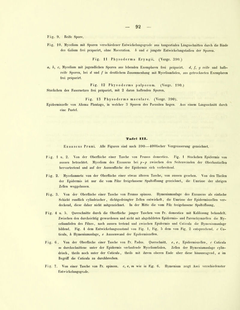 Fig. 9. Reife Spore. Fig. 10. Mycelium mit Sporen verschiedener Entwicklungsgrade aus tangentialen Längsschnitten durch die Rinde des Galium frei präparirt, ohne Maceration. b und c jüngste Entwickelungstadien der Sporen. Fig. 11 Physoderma Eryngii. (Vergr. 390.) a, b, c, Mycelium mit jugendlichen Sporen aus lebenden Exemplaren frei präparirt. d, f, g reife und halb- reife Sporen, bei d und f in deutlichem Zusammenhang mit Myceliumfäden, aus getrockneten Exemplaren frei präparirt. Fig. 12 Physoderma pulposum. (Vergr. 190.) Stückchen des Fasernetzes frei präparirt, mit 2 daran haftenden Sporen. Fig. 13 Physoderma maculare. (Vergr. 390). Epidermiszelle von Alisma Plantago, in welcher 3 Sporen des Parasiten liegen. Aus einem Längsschnitt durch eine Pustel. Tafel III. Exoascus Pruni. Alle Figuren sind nach 390—400facher Vergrösserung gezeichnet. Fig. 1 u. 2. Von der Oberfläche einer Tasche von Prunus domestica. Fig. 1 Stückchen Epidermis von aussen betrachtet. Mycelium des Exoascus bei p-p zwischen den Seitenwänden der Oberhautzellen hervortretend und auf der Aussenfläche der Epidermis sich verbreitend. Fig. 2. Myceliumnetz von der Oberfläche einer etwas älteren Tasche, von aussen gesehen. Von den Theilen der Epidermis ist nur die vom Pilze freigelassene Spaltöffnung gezeichnet, die Umrisse der übrigen Zellen weggelassen. Fig. 3. Von der Oberfläche einer Tasche von Prunus spinosa. Hymeniumanlage des Exoascus als einfache Schicht rundlich cylindrischer, dichtgedrängter Zellen entwickelt, die Umrisse der Epidermiszellen ver- deckend, diese daher nicht mitgezeichnet. In der Mitte die vom Pilz freigelassene Spaltöffnung. Fig. 4 u. 5. Querschnitte durch die Oberfläche junger Taschen von Pr. domestica mit Kalilösung behandelt. Zwischen den durchsichtig gewordenen und nicht mit abgebildeten Epidermis- und Parenchymzellen die My- celiumfäden des Pilzes, nach aussen tretend und zwischen Epidermis und Culicula die Hymeniumanlage bildend. Fig. 4 dem Entwickelungszustand von Fig. 1, Fig. 5 dem von Fig. 2 entsprechend, c Cu- ticula, h Hymeniumanlage, e Aussenwand der Epidermiszellen. Fig. 6. Von der Oberfläche einer Tasche von Pr. Padus. Querschnitt, e, e, Epidermiszellen, c Culicula m durchschnittene unter der Epidermis verlaufende Myceliumfäden. Zellen der Hymeniumanlage cylin- drisch, theils noch unter der Cuticula, theils mit ihrem oberen Ende über diese hinausragend, a im Begriff die Cuticula zu durchbrechen. Fig. 7. Von einer Tasche von Pr. spinosa. c, e, m wie in Fjg. 6. Hymenium zeigt Asci verschiedenster Enlvt'ickelungsgrade.