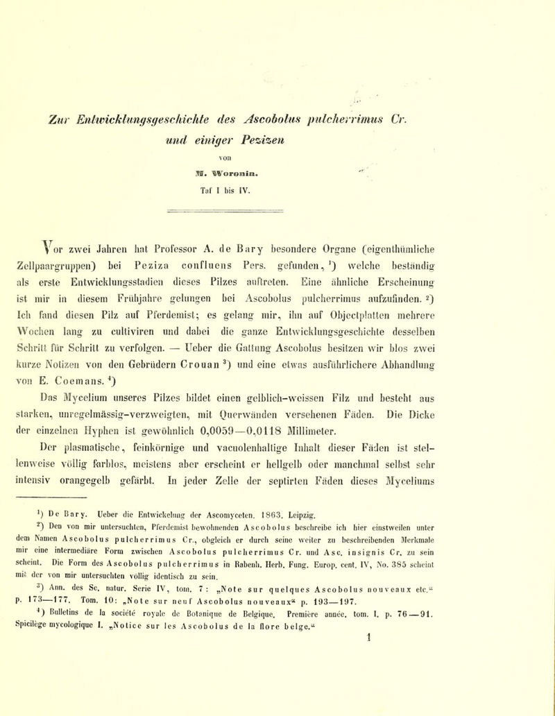 Zur Entwicklungsgeschichte des Ascobolus pulcherrimus Cr. und einiger Pezizen von SS. Woroniui Taf I bis IV. Vor zwei Jahren hat Professor A. de Bary besondere Organe (eigentümliche Zellpaargruppen) bei Peziza confluens Pers. gefunden, J) welche beständig als erste Entwicklungsstadien dieses Pilzes auftreten. Eine ahnliche Erscheinung ist mir in diesem Frühjahre gelungen bei Ascobolus pulcherrimus aufzufinden. 2) Ich fand diesen Pilz auf Pferdemist; es gelang mir, ihn auf Objectplatten mehrere Wochen lang zu cultiviren und dabei die ganze Entwicklungsgeschichte desselben Schritt für Schritt zu verfolgen. — Ueber die Gattung Ascobolus besitzen wir blos zwei kurze Notizen von den Gebrüdern Crouan 3) und eine etwas ausführlichere Abhandlung von E. Coemans. 4) Das Mycelium unseres Pilzes bildet einen gelblich-wcissen Filz und besteht aus starken, unregelmässig-verzweigten, mit Querwanden versehenen Fäden. Die Dicke der einzelnen Hyphen ist gewöhnlich 0,0059 — 0,0118 Millimeter. Der plasmatische, feinkörnige und vacuolenhaltige Inhalt dieser Fäden ist stel- lenweise völlig farblos, meistens aber erscheint er hellgelb oder manchmal selbst sehr intensiv orangegelb gefärbt. In jeder Zelle der septirten Fäden dieses Myceliums 1) De Bary. Ueber die Entwickeluug der Ascomyceten. 1863. Leipzig. 2) Den von mir untersuchten, Pferdemist bewohnenden Ascobolus beschreibe ich hier einstweilen unter dem Namen Ascobolus pulcherrimus Cr., obgleich er durch seine weiter zu beschreibenden Merkmale mir eine intermediäre Form zwischen Ascobolus pulcherrimus Cr. und Asc. insignis Cr. zu sein scheint. Die Form des Ascobolus pulcherrimus in Rabenh. Herb. Fung. Europ. cent. IV, No. 385 scheint mit der von mir untersuchten völlig identisch zu sein. J) Ann. des Sc. natur. Serie IV, tom. 7: „Note sur quelques Ascobolus nouveaux etc. p. 173—177. Tom. 10: „Note sur neuf Ascobolus nouveaux p. 193—197. 4) Bulletins de la societe royale de Botanique de Belgique. Premiere annee. tom. I. p. 76 — 91. Spicilege mycologique I. „Notice sur les Ascobolus de la flore beige.
