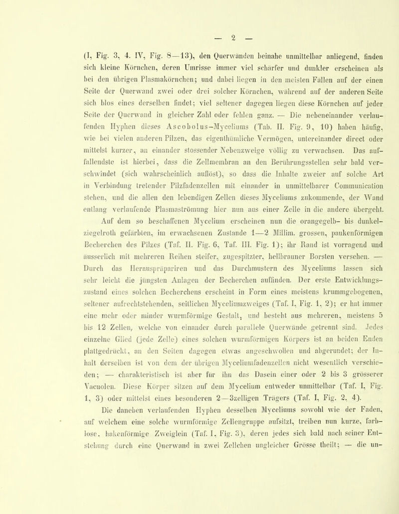 (I, Fig. 3, 4. IV, Fig. 8 — 13), den Querwänden heinahe unmittelbar anliegend, finden sich kleine Körnchen, deren Umrisse immer viel scharfer und dunkler erscheinen als bei den übrigen Plasmakörnchen; und dabei liegen in den meisten Fällen auf der einen Seite der Querwand zwei oder drei solcher Körnchen, wahrend auf der anderen Seite sich blos eines derselben findet; viel seltener dagegen liegen diese Körnchen auf jeder Seite der Querwand in gleicher Zahl oder fehlen ganz. — Die nebeneinander verlau- fenden Hyphen dieses Ascobolus-Myceliums (Tab. II. Fig. 9, 10) haben häufig, wie bei vielen anderen Pilzen, das eigenthümliche Vermögen, untereinander direct oder mittelst kurzer, an einander stossender Nebenzweige völlig zu verwachsen. Das auf- fallendste ist hierbei, dass die Zellmembran an den Berührungsstellen sehr bald ver- schwindet (sich wahrscheinlich auflöst), so dass die Inhalte zweier auf solche Art in Verbindung tretender Pilzfadenzellen mit einander in unmittelbarer Communication stehen, und die allen den lebendigen Zellen dieses Myceliums zukommende, der Wand entlang verlaufende Plasmaströmung hier nun aus einer Zelle in die andere übergeht. Auf dem so beschaffenen Mycelium erscheinen nun die orangegelb- bis dunkel- ziegelroth gefärbten, im erwachsenen Zustande 1—2 Millim. grossen, paukenförmigen Becher eben des Pilzes (Taf. II. Fig. 6, Taf. III. Fig. 1); ihr Rand ist vorragend und äusserlich mit mehreren Reihen steifer, zugespitzter, hellbrauner Borsten versehen. — Durch das Herauspräpariren und das Durchmustern des Myceliums lassen sich sehr leicht die jüngsten Anlagen der Becherchen auffinden. Der erste Entwicklungs- zustand eines solchen Becherchens erscheint in Form eines meistens krummgebogenen, seltener aufrechtstehenden, seitlichen Myceliumzweiges (Taf. I, Fig. 1, 2); er hat immer eine mehr oder minder wurmförmige Gestalt, und besteht aus mehreren, meistens 5 bis 12 Zellen, welche von einander durch parallele Querwände getrennt sind. Jedes einzelne Glied (jede Zelle) eines solchen wurmförmigen Körpers ist an beiden Enden plattgedrückt, an den Seiten dagegen etwas angeschwollen und abgerundet; der In- halt derselben ist von dem der übrigen Myeeliumfadenzellen nicht wesentlich verschie- den; — charakteristisch ist aber für ihn das Dasein einer oder 2 bis 3 grösserer Vacuolen. Diese Körper sitzen auf dem Mycelium entweder unmittelbar (Taf. I, Fig. 1, 3) oder mittelst eines besonderen 2 —3zelligen Trägers (Taf. I, Fig. 2, 4). Die daneben verlaufenden Hyphen desselben Myceliums sowohl wie der Faden, auf welchem eine solche wurmförmige Zellengruppe aufsitzt, treiben nun kurze, farb- lose, hakenförmige Zweiglein (Taf. I, Fig. 3), deren jedes sich bald nach seiner Ent- stehung durch eine Querwand in zwei Zellchen ungleicher Grösse theilt; — die un-