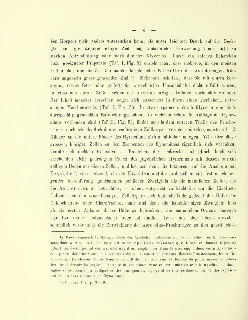 den Körpers nicht anders untersuchen kann, als unter leichtem Druck auf das Deck- glas und gleichzeitiger einige Zeit lang andauernder Einwirkung einer nicht zu starken Aetzkalilösung oder stark diluirten Glycerins. Durch ein solches Behandeln dazu geeigneter Präparate (Taf. I, Fig. 5) ersieht man, dass mehrere, in den meisten Fällen aber nur die 3 — 5 einander berührenden Endzellen des wurmförmigen Kör- pers ungemein gross geworden sind. J) Mehrmals sah ich, dass sie mit einem kör- nigen, etwas fett- oder gallertartig aussehenden Plasmainhalte dicht erfüllt waren, in einzelnen dieser Zellen schien ein nucleus-artiges Gebilde vorhanden zu sein. Der Inhalt mancher derselben zeigte sich ausserdem in Form eines zierlichen, netz- artigen Maschenwerks (Taf. I, Fig. 5). In etwas späteren, durch Glycerin gleichfalls durchsichtig gemachten Entwicklungsstadien, in welchen schon die Anfänge des Hyme- niums vorhanden sind (Taf. II, Fig. 5), findet man in dem unteren Theile des Frucht- trägers noch sehr deutlich den wurmförmigen Zellkörper, von dem einzelne, meistens 1 — 3 Glieder an die untere Fläche des Hymeniums sich unmittelbar anlegen. Wie aber diese grossen, blasigen Zellen zu den Elementen des Hymeniums eigentlich sich verhalten, konnte ich nicht entscheiden. — Entstehen die senkrecht und gleich hoch sich erhebenden dicht gedrängten Fäden des jugendlichen Hymeniums mit dessen zartem zelligem Boden aus diesen Zellen, und hat man dann die letzteren, auf die Analogie mit Erysiphe2) sich stützend, als die Eizellen und die an dieselben sich fest anschmie- genden hakenförmig gekrümmten seitlichen Zweiglein als die männlichen Zellen, als die Antheridien zu betrachten; — oder, entspricht vielleicht das um die Eizellen- Colonie (um den wurmförmigen Zellkörper) sich bildende Fadengeflecht der Hülle der Coleochaeten- oder Charafrüchte, und sind dann die hakenförmigen Zweiglein blos als die ersten Anlagen dieser Hülle zu betrachten, die männlichen Organe dagegen irgendwo anders aufzusuchen; oder ist endlich (was mir aber höchst unwahr- scheinlich vorkommt) die Entwicklung der Ascobolus-Fruchtträger zu den geschlechts- ') Diese jüngeren Entwicklungszustande der Ascobolus-Becherchen sind schon früher von E. Coemans beobachtet worden. Auf der Seite 79 seines Spicilege mycologique I. sagt er darüber folgendes: „Quant au developpenient des Ascobolus, il est simple. Les Filaments myceliens, d'abord Continus, commen- cent par se cloisonner; ensuite ä. certains endroits, lä surtout oii plusieurs Filaments s'anastomosent, les cellules formees par les cloisons de ces filaments se multiplient en tous sens et forment de petites masses ou pelotes destinees ä devenir les cupules. Le centre de ces pelotes reste en communication avec le mycelium du Cham- pignon et est occupe par quelques cellules plus grandes, regorgeant de sucs gelatineux; ces cellules represen- tent les premiers rudiments de riiymenium.4* 2) üe Dary I. c. p. 3—10.