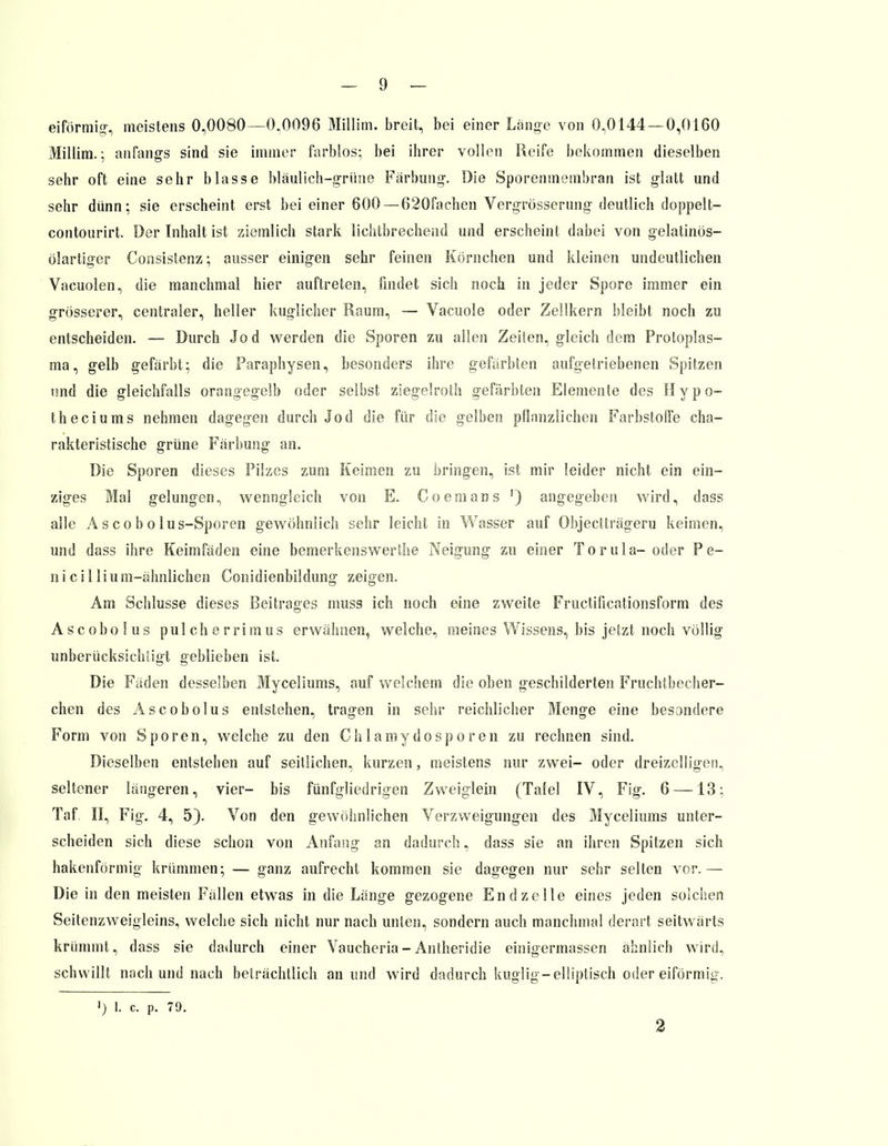 eiförmig-, meistens 0,0080—0.0096 Millim. breit, bei einer Lange von 0,0144 — 0,0160 Millim.; anfangs sind sie immer farblos; bei ihrer vollen Reife bekommen dieselben sehr oft eine sehr blasse bläulich-grüne Färbung. Die Sporenmembran ist glatt und sehr dünn; sie erscheint erst bei einer 600—620fachen Vergrösseriing deutlich doppelt- contourirt. Der Inhalt ist ziemlich stark lichtbrechend und erscheint dabei von gelatinös- ölartiger Consislenz; ausser einigen sehr feinen Körnchen und kleinen undeutlichen Vacuolen, die manchmal hier auftreten, findet sich noch in jeder Spore immer ein grösserer, centraler, heller kuglicher Raum, — Vacuole oder Zellkern bleibt noch zu entscheiden. — Durch Jod werden die Sporen zu allen Zeiten, gleich dem Protoplas- ma, gelb gefärbt; die Paraphysen, besonders ihre gefärbten aufgetriebenen Spitzen und die gleichfalls orangegelb oder selbst ziegelroth gefärbten Elemente des Hypo- theciums nehmen dagegen durch Jod die für die gelben pflanzlichen Farbstoffe cha- rakteristische grüne Färbung an. Die Sporen dieses Pilzes zum Keimen zu bringen, ist mir leider nicht ein ein- ziges Mal gelungen, wenngleich von E. Co ein ans ') angegeben wird, dass alle Ascobolus-Sporen gewöhnlich sehr leicht in Wasser auf Objectträgeru keimen, und dass ihre Keimfäden eine bemerkenswerthe Neigung zu einer Torula- oder Pe- nicillium-ähnlichen Conidienbiklung zeigen. Am Schlüsse dieses Beitrages muss ich noch eine zweite Fructilicationsform des Ascobolus pulcherrimus erwähnen, welche, meines Wissens, bis jetzt noch völlig unberücksichtigt geblieben ist. Die Fäden desselben Myceliums, auf welchem die oben geschilderten Fruchthecher- chen des Ascobolus entstehen, tragen in sehr reichlicher Menge eine besondere Form von Sporen, welche zu den Chlamydosporen zu rechnen sind. Dieselben entstehen auf seitlichen, kurzen, meistens nur zwei- oder dreizelligen, seltener längeren, vier- bis fünfgliedrigen Zweiglein (Tafel IV, Fig. 6 —13: Taf. II, Fig. 4, 5). Von den gewöhnlichen Verzweigungen des Myceliums unter- scheiden sich diese schon von Anfang an dadurch, dass sie an ihren Spitzen sich hakenförmig krümmen; — ganz aufrecht kommen sie dagegen nur sehr selten vor.— Die in den meisten Fällen etwas in die Länge gezogene En dz eile eines jeden solchen Seitenzweigleins, welche sich nicht nur nach unten, sondern auch manchmal derart seitwärts krümmt, dass sie dadurch einer Vaucheria-Antheridie einigermassen ahnlich wird, schwillt nach und nach beträchtlich an und wird dadurch kuglig-elliptisch oder eiförmig. >) I. c. p. 79. 2