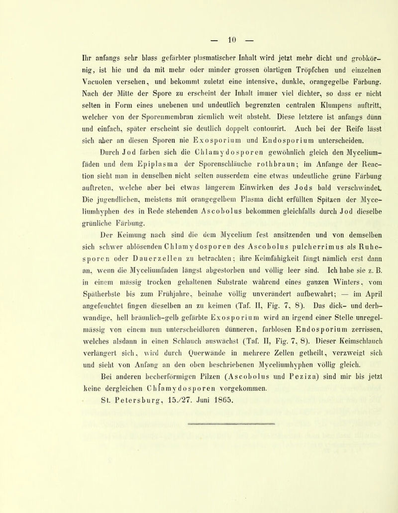 Ihr anfangs sehr blass gefärbter plasmatischer Inhalt wird jetzt mehr dicht und grobkör- nig, ist hie und da mit mehr oder minder grossen ölartigen Tröpfchen und einzelnen Vacuolen versehen, und bekommt zuletzt eine intensive, dunkle, orangegelbe Färbung. Nach der Mitte der Spore zu erscheint der Inhalt immer viel dichter, so dass er nicht selten in Form eines unebenen und undeutlich begrenzten centralen Klumpens auftritt, welcher von der Sporenmembran ziemlich weit absteht. Diese letztere ist anfangs dünn und einfach, später erscheint sie deutlich doppelt contourirt. Auch bei der Reife lässt sich aber an diesen Sporen nie Exosporium und Endosporium unterscheiden. Durch Jod färben sich die Chlamy d o spor en gewöhnlich gleich den Mycelium- fäden und dem Epiplasma der Sporenschläuche rothbraun; im Anfange der Reac- tion sieht man in denselben nicht selten ausserdem eine etwas undeutliche grüne Färbung auftreten, welche aber bei etwas längerem Einwirken des Jods bald verschwindet Die jugendlichen, meistens mit orangegelbem Plasma dicht erfüllten Spitzen der Myce- liumhyphen des in Rede stehenden Ascobolus bekommen gleichfalls durch Jod dieselbe grünliche Färbung. Der Keimung nach sind die dem Mycelium fest ansitzenden und von demselben sich schwer ablösenden Chlamydosporen des Ascobolus pulcherrimus als Ruhe- sporen oder Dauerzellen zu betrachten; ihre Keimfähigkeit fängt nämlich erst dann an, wenn die Myceliumfäden längst abgestorben und völlig leer sind. Ich habe sie z. R. in einem massig trocken gehaltenen Substrate während eines ganzen Winters, vom Spätherbste bis zum Frühjahre, beinahe völlig unverändert aufbewahrt; — im April angefeuchtet fingen dieselben an zu keimen (Taf. II, Fig. 7, 8). Das dick- und derb- wandige, hell bräunlich-gelb gefärbte Exosporium wird an irgend einer Stelle unregel- mässig von einem nun unterscheidbaren dünneren, farblosen Endosporium zerrissen, welches alsdann in einen Schlauch auswächst (Taf. II, Fig. 7, 8). Dieser Keimschlauch verlängert sich, wird durch Querwände in mehrere Zellen getheilt, verzweigt sich und sieht von Anfang an den oben beschriebenen 31yceliumhyphen völlig gleich. Bei anderen becherförmigen Pilzen (Ascobolus und Peziza) sind mir bis jetzt keine dergleichen Chlamydosporen vorgekommen. St. Petersburg, 15./27. Juni 1865.