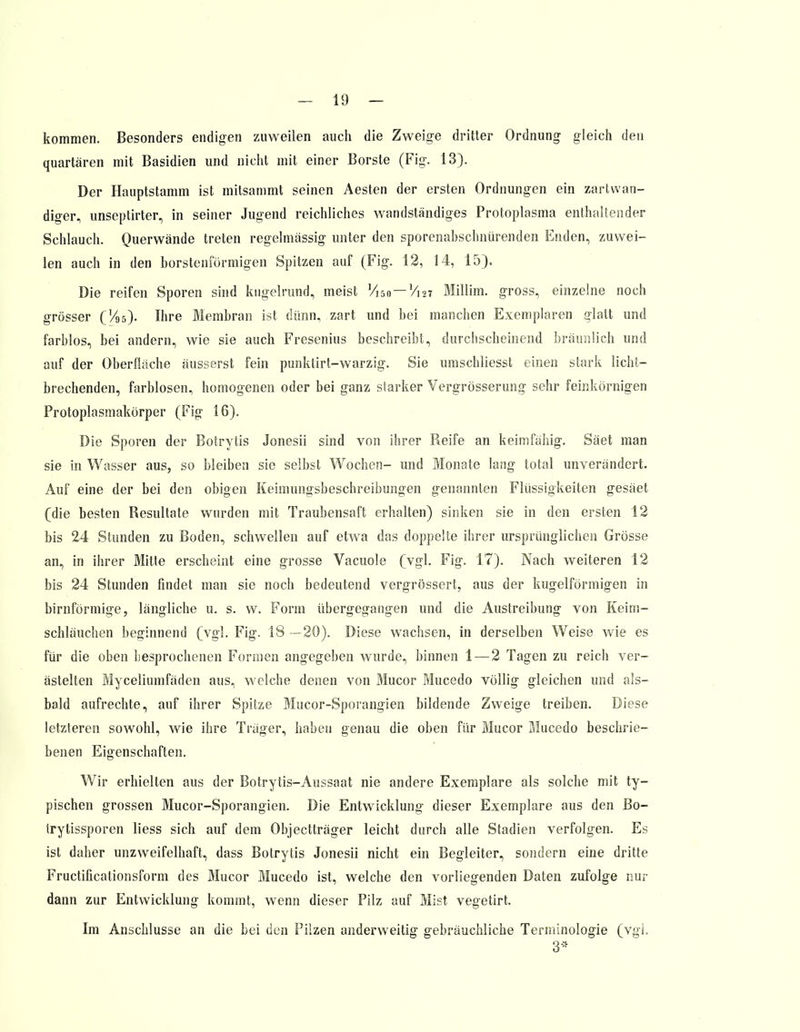 kommen. Besonders endigen zuweilen auch die Zweige dritter Ordnung gleich den quartären mit Basidien und nicht mit einer Borste (Fig. 13). Der Hauptstamm ist mitsammt seinen Aesten der ersten Ordnungen ein zartwan- diger., unseptirter, in seiner Jugend reichliches wandständiges Protoplasma enthaltender Schlauch. Querwände treten regelmässig unter den sporenabschniirenden Enden, zuwei- len auch in den borstenförmigen Spitzen auf (Fig. 12, 14, 15). Die reifen Sporen sind kugelrund, meist Vi50 — Vi27 Millim. gross, einzelne noch grösser (V95). Ihre Membran ist dünn, zart und bei manchen Exemplaren glatt und farblos, bei andern, wie sie auch Fresenius beschreibt, durchscheinend bräunlich und auf der Oberfläche äusserst fein punktirt-warzig. Sie umschliesst einen stark licht- brechenden, farblosen, homogenen oder bei ganz starker Vergrösserung sehr feinkörnigen Protoplasmakörper (Fig 16). Die Sporen der Botrytis Jonesii sind von ihrer Reife an keimfähig. Säet man sie in Wasser aus, so bleiben sie selbst Wochen- und Monate lang total unverändert. Auf eine der bei den obigen Keimungsbeschreibungen genannten Flüssigkeiten gesäet (die besten Resultate wurden mit Traubensaft erhalten) sinken sie in den ersten 12 bis 24 Stunden zu Boden, schwellen auf etwa das doppelte ihrer ursprünglichen Grösse an, in ihrer Mitte erscheint eine grosse Vacuole (vgl. Fig. 17). Nach weiteren 12 bis 24 Stunden findet man sie noch bedeutend vergrössert, aus der kugelförmigen in birnförmige, längliche u. s. w. Form übergegangen und die Austreibung von Keim- schläuchen beginnend (vgl. Fig. 18 —20). Diese wachsen, in derselben Weise wie es für die oben besprochenen Formen angegeben wurde, binnen 1 — 2 Tagen zu reich ver- ästelten Myceliumfäden aus, welche denen von Mucor Mucedo völlig gleichen und als- bald aufrechte, auf ihrer Spitze Mucor-Sporangien bildende Zweige treiben. Diese letzteren sowohl, wie ihre Träger, haben genau die oben für Mucor Mucedo beschrie- benen Eigenschaften. Wir erhielten aus der Botrytis-Aussaat nie andere Exemplare als solche mit ty- pischen grossen Mucor-Sporangien. Die Entwicklung dieser Exemplare aus den Bo- trytissporen liess sich auf dem Objectträger leicht durch alle Stadien verfolgen. Es ist daher unzweifelhaft, dass Botrytis Jonesii nicht ein Begleiter, sondern eine dritte Fructificationsform des Mucor Mucedo ist, welche den vorliegenden Daten zufolge nur dann zur Entwicklung kommt, wenn dieser Pilz auf Mist vegetirt. Im Anschlüsse an die bei den Pilzen anderweitig gebräuchliche Terminologie (vgi. 3*