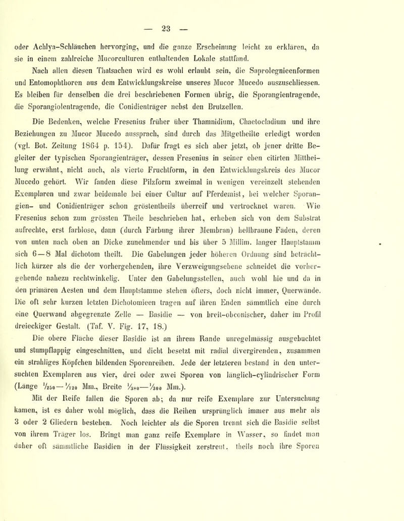oder Achlya-Schläuchen hervorging, und die ganze Erscheinung leicht zu erklären, da sie in einem zahlreiche Mucorculturen enthaltenden Lokale stattfand. Nach allen diesen Thatsachen wird es wohl erlaubt sein, die Saprolegnieenformen und Entomophthoren aus dem Entwicklungskreise unseres Mucor Mucedo auszuschliessen. Es bleiben für denselben die drei beschriebenen Formen übrig, die Sporangientragende, die Sporangiolentragende, die Conidienlräger nebst den Brutzellen. Die Bedenken, welche Fresenius früher über Thamnidium, Chaetocladium und ihre Beziehungen zu Mucor Mucedo aussprach, sind durch das Mitgetheilte erledigt worden (vgl. Bot. Zeitung 1864 p. 154). Dafür fragt es sich aber jetzt, ob jener dritte Be- gleiter der typischen Sporangienträger, dessen Fresenius in seiner eben citirten Mitthei- lung erwähnt, nicht auch, als vierte Fruchtform, in den Entwicklungskreis des Mucor Mucedo gehört. Wir fanden diese Pilzform zweimal in wenigen vereinzelt stehenden Exemplaren und zwar beidemale bei einer Cultur auf Pferdemist, bei welcher Sporan- gien- und Conidienlräger schon gröstentheils überreif und vertrocknet waren. Wie Fresenius schon zum grössten Theile beschrieben hat, erheben sich von dem Substrat aufrechte, erst farblose, dann (durch Färbung ihrer Membran) hellbraune Fäden, deren von unten nach oben an Dicke zunehmender und bis über 5 Millim. langer Hauptstamm sich 6 — 8 Mal dichotom theilt. Die Gabelungen jeder höheren Ordnung sind beträcht- lich kürzer als die der vorhergehenden, ihre Verzweigungsebene schneidet die vorher- gehende nahezu rechtwinkelig. Unter den Gabelungsstellen, auch wohl hie und da in den primären Aesten und dem Hauptstamme stehen öfters, doch nicht immer, Querwände. Die oft sehr kurzen letzten Dichotomieen tragen auf ihren Enden sämmtlich eine durch eine Querwand abgegrenzte Zelle — Basidie — von breit-obconischer, daher im Profil dreieckiger Gestalt. (Taf. V. Fig. 17, 18.) Die obere Fläche dieser Basidie ist an ihrem Rande unregelmässig ausgebuchtet und stumpflappig eingeschnitten, und dicht besetzt mit radial divergirenden, zusammen ein strahliges Köpfchen bildenden Sporenreihen. Jede der letzteren bestand in den unter- suchten Exemplaren aus vier, drei oder zwei Sporen von länglich-cylindrischer Form (Länge V250— V120 Mm., Breite V380—Vi00 Mm.). Mit der Reife fallen die Sporen ab; da nur reife Exemplare zur Untersuchung kamen, ist es daher wohl möglich, dass die Reihen ursprünglich immer aus mehr als 3 oder 2 Gliedern bestehen. Noch leichter als die Sporen trennt sich die Basidie selbst von ihrem Träger los. Bringt man ganz reife Exemplare in Wasser, so findet man daher oft sämmtliche Basidien in der Flüssigkeit zerstreut, theils noch ihre Sporen