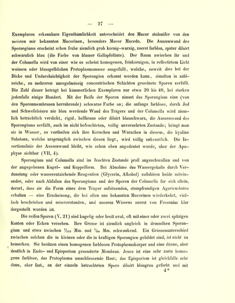 Exemplaren erkennbare Eigentümlichkeit unterscheidet den Mucor stolonifer von den meisten mir bekannten Mucorinen, besonders Mucor Mucedo. Die Aussenwand des Sporangiums erscheint schon frühe ziemlich grob körnig-warzig, zuerst farblos, später diluirt schwärzlich blau (die Farbe von blasser Galläpfellinte). Der Raum zwischen ihr und der Columella wird von einer wie es scheint homogenen, feinkörnigen, in reflectirtem Licht weissen oder blassgelblichen Protoplasmamasse ausgefüllt, welche, soweit dies bei der Dicke und Undurchsichtigkeit der Sporangien erkannt werden kann, simultan in zahl- reiche, zu mehreren unregelmässig concentrischen Schichten geordnete Sporen zerfällt. Die Zahl dieser beträgt bei kümmerlichen Exemplaren nur etwa 20 bis 40, bei starken jedenfalls einige Hundert. Mit der Reife der Sporen nimmt das Sporangium eine (von den Sporenmembranen herrührende) schwarze Farbe an; die anfangs farblose, durch Jod und Schwefelsäure nie blau werdende Wand des Trägers und der Columella wird ziem- lich beträchtlich verdickt, rigid, hellbraun oder diluirt blauschwarz, die Aussenwand des Sporangiums zerfällt, auch im nicht befeuchteten, völlig unversehrten Zustande; bringt man sie in Wasser, so vertheilen sich ihre Körnchen und Wärzchen in diesem, die hyaline Substanz, welche ursprünglich zwischen diesen liegt, wird völlig unkenntlich. Die In- sertionslinie der Aussenwand bleibt, wie schon oben angedeutet wurde, über der Apo- physe sichtbar (VII, 4). Sporangium und Columella sind im feuchten Zustande prall angeschwollen und von der angegebenen Kugel- und Kuppelform. Bei Abnahme des Wassergehalts durch Ver- dunstung oder wasserentziehende Reagentien (Glycerin, Alkohol) collabiren beide mitein- ander, oder nach Abfallen des Sporangiums und der Sporen der Columella für sich allein, derart, dass sie die Form eines dem Träger aufsitzenden, stumpfrandigen Agaricushutes erhalten — eine Erscheinung, die bei allen uns bekannten Mucorinen wiederkehrt, viel- fach beschriehen und missverstanden, und unseres Wissens zuerst von Fresenius klar dargestellt worden ist. Die reifen Sporen (V, 21) sind kugelig oder breit oval, oft mit einer oder zwei spitzigen Kanten oder Ecken versehen. Ihre Grösse ist ziemlich ungleich in demselben Sporan- gium und etwa zwischen Vw, Mm. uud V60 Mm. schwankend. Ein Grössenunterschied zwischen solchen die in kleinen oder die in kräftigen Sporangien gebildet sind, ist nicht zu bemerken. Sie besitzen einen homogenen farblosen Protoplasmakörper und eine dünne, aber deutlich in Endo- und Episporium gesonderte Membran. Jenes ist eine sehr zarte homo- gene farblose, das Protoplasma umschliessende Haut; das Episporium ist gleichfalls sehr dünn, aber fest, an der einzeln betrachteten Spore diluirt blaugrau gefärbt und mit 4*