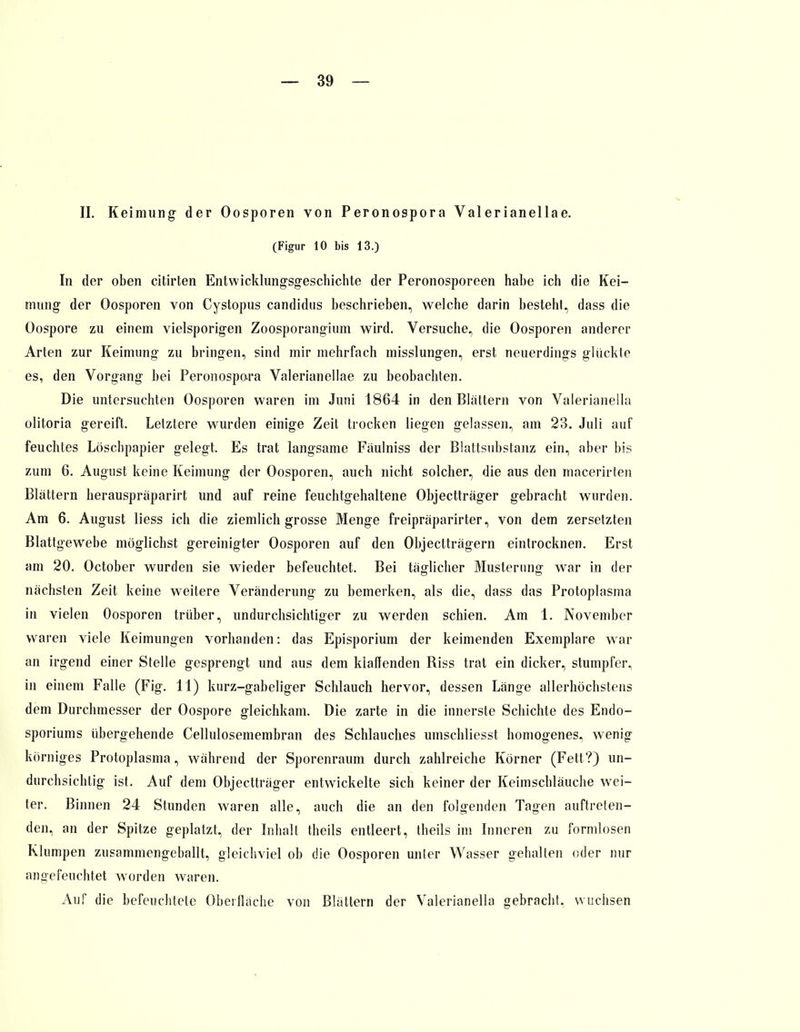 II. Keimung der Oosporen von Peronospora Valerianellae. (Figur 10 bis 13.) In der oben citirten Entwicklungsgeschichte der Peronosporeen habe ich die Kei- mung der Oosporen von Cystopus Candidus beschrieben, welche darin bestehl, dass die Oospore zu einem vielsporigen Zoosporangium wird. Versuche, die Oosporen anderer Arten zur Keimung zu bringen, sind mir mehrfach misslungen, erst neuerdings glückte es, den Vorgang bei Peronospora Valerianellae zu beobachten. Die untersuchten Oosporen waren im Juni 1864 in den Blattern von Valerianella olitoria gereift. Letztere wurden einige Zeit trocken liegen gelassen, am 23. Juli auf feuchtes Löschpapier gelegt. Es trat langsame Fäulniss der Blattsubstanz ein, aber bis zum 6. August keine Keimung der Oosporen, auch nicht solcher, die aus den macerirten Blättern herauspräparirt und auf reine feuchtgehaltene Objectträger gebracht wurden. Am 6. August liess ich die ziemlich grosse Menge freipräparirter, von dem zersetzten Blattgewebe möglichst gereinigter Oosporen auf den Objectträgern eintrocknen. Erst am 20. October wurden sie wieder befeuchtet. Bei täglicher Musterung war in der nächsten Zeit keine weitere Veränderung zu bemerken, als die, dass das Protoplasma in vielen Oosporen trüber, undurchsichtiger zu werden schien. Am 1. November waren viele Keimungen vorhanden: das Episporium der keimenden Exemplare war an irgend einer Stelle gesprengt und aus dem klaffenden Riss trat ein dicker, stumpfer, in einem Falle (Fig. 11) kurz-gabeliger Schlauch hervor, dessen Länge allerhöchstens dem Durchmesser der Oospore gleichkam. Die zarte in die innerste Schichte des Endo- sporiums übergehende Cellulosemembran des Schlauches umschliesst homogenes, wenig körniges Protoplasma, während der Sporenraum durch zahlreiche Körner (Fett?) un- durchsichtig ist. Auf dem Objectträger entwickelte sich keiner der Keimschläuche wei- ter. Binnen 24 Stunden waren alle, auch die an den folgenden Tagen auftreten- den, an der Spitze geplatzt, der Inhalt theils entleert, theils im Inneren zu formlosen Klumpen zusammengeballt, gleichviel ob die Oosporen unter Wasser gehalten oder nur angefeuchtet worden waren. Auf die befeuchtete Oberfläche von Blättern der Valerianella gebracht, wuchsen