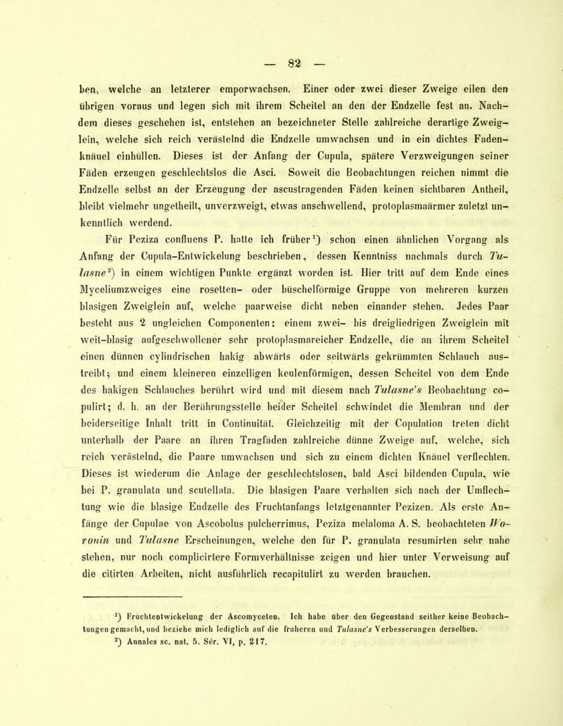 ben, welche an letzterer emporwachsen. Einer oder zwei dieser Zweige eilen den übrigen voraus und legen sich mit ihrem Scheitel an den der Endzelle fest an. Nach- dem dieses geschehen ist, entstehen an bezeichneter Stelle zahlreiche derartige Zweig- lein, welche sich reich verästelnd die Endzelle umwachsen und in ein dichtes Faden- knäuel einhüllen. Dieses ist der Anfang der Cupula, spätere Verzweigungen seiner Fäden erzeugen geschlechtslos die Asci. Soweit die Beobachtungen reichen nimmt die Endzelle selbst an der Erzeugung der ascustragenden Fäden keinen sichtbaren Antheil, bleibt vielmehr ungetheilt, unverzweigt, etwas anschwellend, protoplasmaärmer zuletzt un- kenntlich werdend. Für Peziza confluens P. hatte ich früher1) schon einen ähnlichen Vorgang als Anfang der Cupula-Entwickelung beschrieben, dessen Kenntniss nachmals durch Tu- lasne2) in einem wichtigen Punkte ergänzt worden ist. Hier tritt auf dem Ende eines Myceliumzweiges eine rosetten- oder büschelförmige Gruppe von mehreren kurzen blasigen Zweiglein auf, welche paarweise dicht neben einander stehen. Jedes Paar besteht aus 2 ungleichen Componenten: einem zwei- bis dreigliedrigen Zweiglein mit weit-blasig aufgeschwollener sehr proloplasmareicher Endzelle, die an ihrem Scheitel einen dünnen cylindrischen hakig abwärts oder seitwärts gekrümmten Schlauch aus- treibt; und einem kleineren einzelligen keulenförmigen, dessen Scheitel von dem Ende des hakigen Schlauches berührt wird und mit diesem nach Tulasne's Beobachtung co- pulirt; d. h. an der Berührungsstelle beider Scheitel schwindet die Membran und der beiderseitige Inhalt tritt in Continuität. Gleichzeitig mit der Copulation treten dicht unterhalb der Paare an ihren Tragfäden zahlreiche dünne Zweige auf, welche, sich reich verästelnd, die Paare umwachsen und sich zu einem dichten Knäuel verflechten. Dieses ist wiederum die Anlage der geschlechtslosen, bald Asci bildenden Cupula, wie bei P. granulata und sculellata. Die blasigen Paare verhalten sich nach der Umflech- tung wie die blasige Endzelle des Fruchtanfangs letztgenannter Pezizen. Als erste An- fänge der Cupulae von Ascobolus pulcherrimus, Peziza melaloma A. S. beobachteten Wo- ronin und Tulosne Erscheinungen, welche den für P. granulata resumirten sehr nahe stehen, nur noch complicirtere Formverhältnisse zeigen und hier unter Verweisung auf die citirten Arbeiten, nicht ausführlich recapitulirt zu werden brauchen. *) Fruchtentwickelung der Ascomyceten. Ich habe über den Gegenstand seither keine Beobach- tungen gemacht, und beziehe mich lediglich auf die früheren und Tulasne's Verbesserungen derselben. 2) Annales sc. nat. 5. Ser. VI, p. 217.