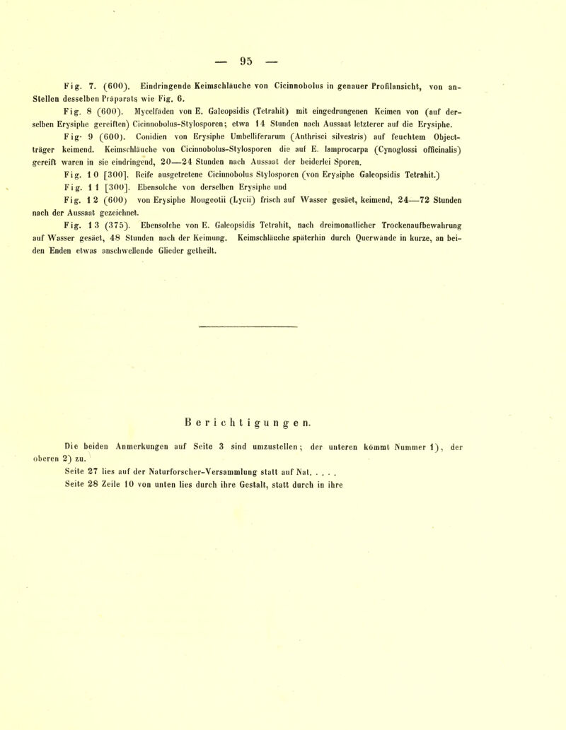 Fig. 7. (600). Eindringende Keimschläuche von Cicinnoboius in genauer Profilansicht, von an- stellen desselben Präparats wie Fig. 6. Fig. 8 (600). Mycelfäden von E. Galeopsidis (Tetrahit) mit eingedrungenen Keimen von (auf der- selben Erysiphe gereiften) Cicinnobolus-Stylosporen; etwa 14 Stunden nach Aussaat letzterer auf die Erysiphe. Fig- 9 (600). Conidien von Erysiphe Umbelliferarum (Anthrisci silvestris) auf feuchtem Object- träger keimend. Keimschlauche von Cicinnobolus-Stylosporen die auf E. lamprocarpa (Cynoglossi officinalis) gereift waren in sie eindringend, 20—24 Stunden nach Aussaat der beiderlei Sporen. Fig. 10 [300]. Reife ausgetretene Cicinnoboius Stylosporen (von Erysiphe Galeopsidis Tetrahit.) Fig. 11 [300]. Ebensolche von derselben Erysiphe und Fig. 1 2 (600) von Erysiphe Mougeotii (Lycii) frischauf Wasser gesäet, keimend, 24—72 Stunden nach der Aussaat gezeichnet. Fig. 1 3 (375). Ebensolche von E. Galeopsidis Tetrahit, nach dreimonatlicher Trockenaufbewahrung auf Wasser gesäet, 48 Stunden nach der Keimung. Keimschläuche späterhin durch Querwände in kurze, an bei- den Enden etwas anschwellende Glieder getheilt. Berichtigungen. Die beiden Anmerkungen auf Seite 3 sind umzustellen; der unteren kömmt Nummer 1), der oberen 2) zu. Seite 27 lies auf der Naturforscher-Versammlung statt auf Nat Seite 28 Zeile 10 von unten lies durch ihre Gestalt, statt durch in ihre