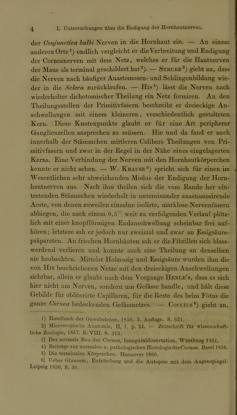 der Conjunctiva bulbi Nerven in die Hornhaut ein. — An einem anderen Orte 1 2 3 4) endlich vergleicht er die Verbreitung und Endigung der Corneanerven mit dem Netz, welches er für die Hautnerven der Maus als terminal geschildert hat2). — Strube3) giebt an, dass die Nerven nach häufiger Anastomosen- und Schlingenbildung wie- der in die Sclera zurücklaufen. — His4) lässt die Nerven nach wiederholter dichotomischer Theilung ein Netz formiren. An den Theilungsstellen der Primitivfasern beschreibt er dreieckige An- schwellungen mit einem kleineren, verschiedentlich gestalteten Kern. Diese Knotenpunkte glaubt er für eine Art peripherer Ganglienzellen ansprechen zu müssen. Hie und da fand er auch innerhalb der Stämmchen mittleren Calibers Theilungen von Pri- mitivfasern und zwar in der Regel in der Nähe eines eingelagerten Kerns. Eine Verbindung der Nerven mit den Hornhautkörperchen konnte er nicht sehen. — W. Krause 5) spricht sich für einen im Wesentlichen sehr abweichenden Modus der Endigung der Horn- hautnerven aus. Nach ihm theilen sich die vom Rande her ein- tretenden Stämmchen wiederholt in untereinander anastomosirende Aeste, von denen zuweilen einzelne isolirte, marklose Nervenfasern abbiegen, die nach einem 0,5' weit zu verfolgenden Verlauf plötz- lich mit einer knopfförmigen Endanschwellung scheinbar frei auf- hören; letztere sah er jedoch nur zweimal und zwar an Essigsäure- präparaten. An frischen Hornhäuten sah er die Fibrillen sich blass- werdend verlieren und konnte auch eine Theilung an denselben nie heobachten. Mittelst Holzessig und Essigsäure wurden ihm die von His beschriebenen Netze mit den dreieckigen Anschwellungen sichtbar, allein er glaubt nach dem Vorgange Henle’s, dass es sich hier nicht um Nerven, sondern um Gelasse handle, und hält diese Gebilde für obliterirte Capillaren, für die Reste des beim Fötus die ganze Cornea bedeckenden Gefässnetzes. — Coceius6) giebt an, 1) Handbuch der Gewebelehre, 1859. 3. Auflage. S. 621. 2) Microscopische Anatomie, II, 1. p. 21. — Zeitschrift für wissenschaft- liche Zoologie, 1857. B. VIII. S. 313. 3) Der normale Bau der Cornea, Inauguraldissertation, Würzburg 1851. 4) Beiträge zur normalen u. pathologischen Histologie der Cornea. Basel 1S56. 5) Die terminalen Körperchen. Hannover 1860. 6) Ueber Glaucom, Entzündung und die Autopsie mit dem Augenspiegel- Leipzig 1850, S. 30.
