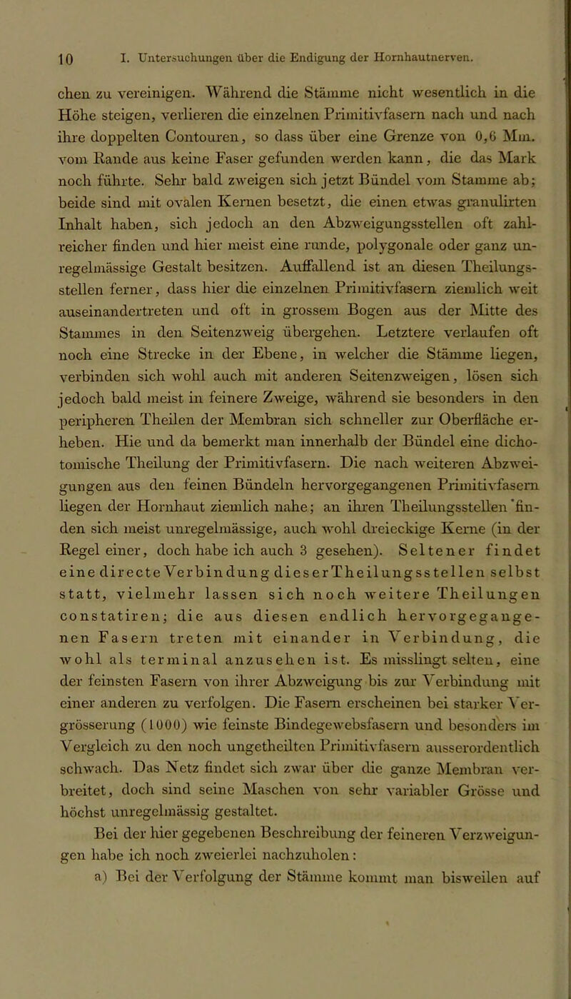 chen zu vereinigen. Während die Stämme nicht wesentlich in die Höhe steigen, verlieren die einzelnen Primitivfasern nach und nach ihre doppelten Contouren, so dass über eine Grenze von 0,6 Mm. vom Rande aus keine Faser gefunden werden kann, die das Mark noch führte. Sehr bald zweigen sich jetzt Bündel vom Stamme ab; beide sind mit ovalen Kernen besetzt, die einen etwas granulirten Inhalt haben, sich jedoch an den Abzweigungsstellen oft zahl- reicher finden und hier meist eine runde, polygonale oder ganz un- regelmässige Gestalt besitzen. Auffallend ist an diesen Theilungs- stellen ferner, dass hier die einzelnen Primitivfasern ziemlich weit auseinandertreten und oft in grossem Bogen aus der Mitte des Stammes in den Seitenzweig übergehen. Letztere verlaufen oft noch eine Strecke in der Ebene, in welcher die Stämme liegen, verbinden sich wohl auch mit anderen Seitenzweigen, lösen sich jedoch bald meist in feinere Zweige, während sie besonders in den peripheren Theilen der Membran sich schneller zur Oberfläche er- heben. Hie und da bemerkt man innerhalb der Bündel eine dicho- tomische Theilung der Primitivfasern. Die nach weiteren Abzwei- gungen aus den feinen Bündeln hervorgegangenen Primitivfasern liegen der Hornhaut ziemlich nahe; an ihren. Th eilungssteilen'fin- den sich meist unregelmässige, auch wohl dreieckige Kerne (in der Regel einer, doch habe ich auch 3 gesehen). Seltener findet eine directeVerbinclungdieserTheilungsstellen selbst statt, vielmehr lassen sich noch weitere Theilungen constatiren; die aus diesen endlich hervorgegange- nen Fasern treten mit einander in Verbindung, die wohl als terminal an zu sehen ist. Es misslingt selten, eine der feinsten Fasern von ihrer Abzweigung bis zur Verbindung mit einer anderen zu verfolgen. Die Fasern erscheinen bei starker Ver- grösserung (1U0U) wie feinste Bindegewebsfasern und besonders im Vergleich zu den noch ungetheilten Primitivfasern ausserordentlich schwach. Das Netz findet sich zwar über die ganze Membran ver- breitet, doch sind seine Maschen von sehr variabler Grösse und höchst unregelmässig gestaltet. Bei der hier gegebenen Beschreibung der feineren Verzweigun- gen habe ich noch zweierlei nachzuholen: a) Bei der \ erfolgung der Stämme kommt man bisweilen auf