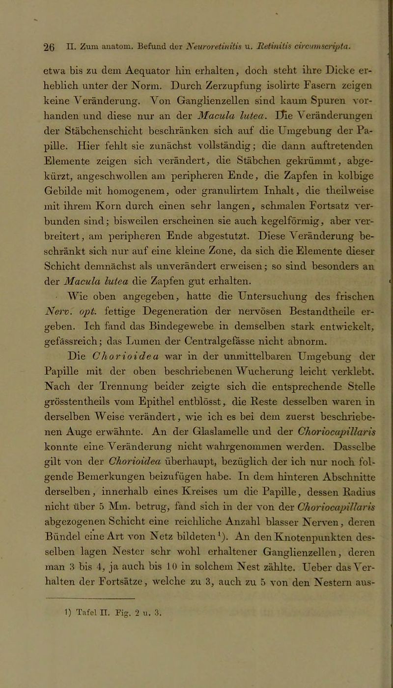 etwa bis zu dem Aequator hin erhalten, doch steht ihre Dicke er- heblich unter der Norm. Durch Zerzupfung isolirte Fasern zeigen keine Veränderung. Von Ganglienzellen sind kaum Spuren vor- handen und diese nur an der Macula lutea. Die Veränderungen der Stäbchenschicht beschränken sich auf die Umgebung der Pa- pille. Hier fehlt sie zunächst vollständig; die dann auftretenden Elemente zeigen sich verändert, die Stäbchen gekrümmt, abge- kürzt, angesclrwollen am peripheren Ende, die Zapfen in kolbige Gebilde mit homogenem, oder granulirtem Inhalt, die theilwei.se mit ihrem Korn durch einen sehr langen, schmalen Fortsatz ver- bunden sind; bisweilen erscheinen sie auch kegelförmig, aber ver- breitert, am peripheren Ende abgestutzt. Diese Veränderung be- schränkt sich nur auf eine kleine Zone, da sich die Elemente dieser Schicht demnächst als unverändert erweisen; so sind besonders an der Macula lutea die Zapfen gut erhalten. Wie oben angegeben, hatte die Untersuchung des frischen Nerv. opt. fettige Degeneration der nervösen Bestandtheile er- geben. Ich fand das Bindegewebe in demselben stark entwickelt, gefässreich; das Lumen der Centralgefasse nicht abnorm. Die Chorioidea war in der unmittelbaren Umgebung der Papille mit der oben beschriebenen Wucherung leicht verklebt. Nach der Trennung beider zeigte sich die entsprechende Stelle grösstentheils vom Epithel entblösst, die Reste desselben waren in derselben Weise verändert, wie ich es bei dem zuerst beschriebe- nen Auge erwähnte. An der Glaslamelle und der Choriocapillaris konnte eine Veränderung nicht wahrgenommen werden. Dasselbe gilt von der Chorioidea überhaupt, bezüglich der ich nur noch fol- gende Bemerkungen beizufügen habe. In dem hinteren Abschnitte derselben, innerhalb eines Kreises um die Papille, dessen Radius nicht über 5 Mm. betrug, fand sich in der von der Choriocapillaris abgezogenen Schicht eine reichliche Anzahl blasser Nerven, deren Bündel eine Art von Netz bildeten1). An den Knotenpunkten des- selben lagen Nester sehr wohl erhaltener Ganglienzellen, deren man 3 bis 4, ja auch bis 10 in solchem Nest zählte. Ueber das Ver- halten der Fortsätze, welche zu 3, auch zu 5 von den Nestern aus- 1) Tafel n. Fig. 2 u. 3.