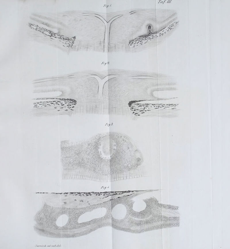 Ta/:///. Satnt isc7i, cuL rutZ.e7eZs. Ti ff-'/■