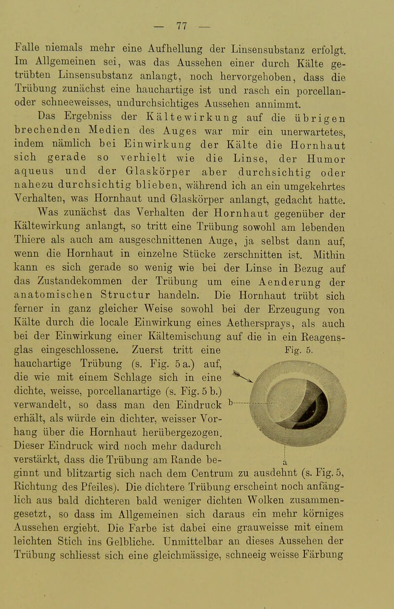 Falle niemals mehr eine Aufhellung der Linsen Substanz erfolgt. Im Allgemeinen sei, was das Aussehen einer durch Kälte ge- trübten Linsensubstanz anlangt, noch hervorgehoben, dass die Trübung zunächst eine hauchartige ist und rasch ein porcellan- oder schneeweisses, undurchsichtiges Aussehen annimmt. Das Ergebniss der Kältewirkung auf die übrigen brechenden Medien des Auges war mir ein unerwartetes, indem nämlich bei Einwirkung der Kälte die Hornhaut sich gerade so verhielt wie die Linse, der Humor aqueus und der Glaskörper aber durchsichtig oder nahez-u durchsichtig blieben, während ich an ein umgekehrtes Verhalten, was Hornhaut und Glaskörper anlangt, gedacht hatte. Was zunächst das Verhalten der Hornhaut gegenüber der Kältewirkung anlangt, so tritt eine Trübung sowohl am lebenden Thiere als auch am ausgeschnittenen Auge, ja selbst dann auf, wenn die Hornhaut in einzelne Stücke zerschnitten ist. Mithin kann es sich gerade so wenig wie bei der Linse in Bezug auf das Zustandekommen der Trübung um eine Aenderung der anatomischen Structur handeln. Die Hornhaut trübt sich ferner in ganz gleicher Weise sowohl bei der Erzeugung von Kälte durch die locale Einwirkung eines Aethersprays, als auch bei der Einwirkung einer Kältemischung auf die in ein Reagens- glas eingeschlossene. Zuerst tritt eine Fig. 5. hauchartige Trübung (s. Fig. 5 a.) auf, die wie mit einem Schlage sich in eine dichte, weisse, porcellanartige (s. Fig. 5 b.) 1 verwandelt, so dass man den Eindruck ^m erhält, als würde ein dichter, weisser Vor- hang über die Hornhaut herübergezogen. Dieser Eindruck wird noch mehr dadurch verstärkt, dass die Trübung am Rande be- ginnt und blitzartig sich nach dem Centrum zu ausdehnt (s. Fig. 5, Richtung des Pfeiles). Die dichtere Trübung erscheint noch anfäng- lich aus bald dichteren bald weniger dichten Wolken zusammen- gesetzt, so dass im Allgemeinen sich daraus ein mehr körniges Aussehen ergiebt. Die Farbe ist dabei eine grauweisse mit einem leichten Stich ins Gelbliche. Unmittelbar an dieses Aussehen der Trübung schliesst sich eine gleichmässige, schneeig weisse Färbung