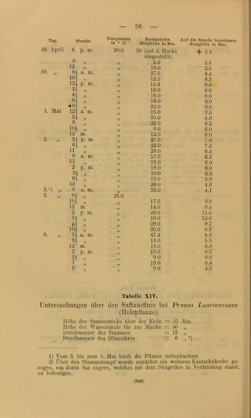 Temperatur Beobaclitete in 0 C. Steighöhe in Mm. Steighöhe in Mm. 29. April 6 p. Dl. 20.0 30 (auf d. Marke + 3 4 eingestellt). 8 33 5.0 2.5 12 J? 33 10.0 2.5 30. „ a. m. 33 37.0 4.4 lOJ }? 33 12.5 6.3 12^ p. m. 33 15.9 8.0 )5 33 16.0 8.0 5) 33 16.0 8.0 )) 33 16.0 8.0 •lOA ?) j) 32.0 8.0 1. Mai m a. m. )3 15.0 7.5 54 jj 33 30.0 6.0 9 jj J3 22.0 6.2 10^ )> 33 9.0 6.0 12 m. 33 12.0 8.0 2- j) 3a p. m. 33 27.0 7.8 3? 5) 33 22.0 7.3 11 M 33 29.0 6.4 8 a. m. 33 57.0 6.3 11 33 18.0 6.0 2 p. m. 33 18.0 6.0 3^ 33 10.0 6.6 64 )> 33 15.0 50 12' J) 33 26.0 4.8 3.^) „ 8 a. m. 33 33.0 4.1 5. „ ?) 25.0 104 j) 33 17.5 8.8 12' m. 33 14.0 9.4 2 p. m. 33 23.0 11.5 34 ?) 33 18.0 12.0 6* 35 33 29.0 9.7 10^ >3 3» 33.0 8.3 6. „ 7i a. m. 33 47.4 5.3 94 33 33 11.0 5.5 12“ m. 33 15.0 6.0 2 p. m. 33 13.0 6.5 34 33 33 9.0 6.0 7 ' 33 33 19.0 5.4 9 33 33 9.0 4.5 Tabelle XIT. Untersuchungen über den SaftausÜuss bei Prunus Ltiurocemsus (HolzpÜanze). Höhe des Stammstücks über der Erde = 35 Mm. Höhe der Wassersäule bis zur Marke = 40 „ Durchmesser des Stammes = 13 „ Durchmesser des Glasrohres — 6 „ *) 1) Yom 3. bis zum 5. Mai blieb die Pflanze unbeobachtet. 2) Über den Stammstumpf wurde zunächst ein weiteres Kautschukrohr ge- zogen, um darin das engere, welches mit dem Steigröhre in Verbindung stand, zu befestigen. (5üS)