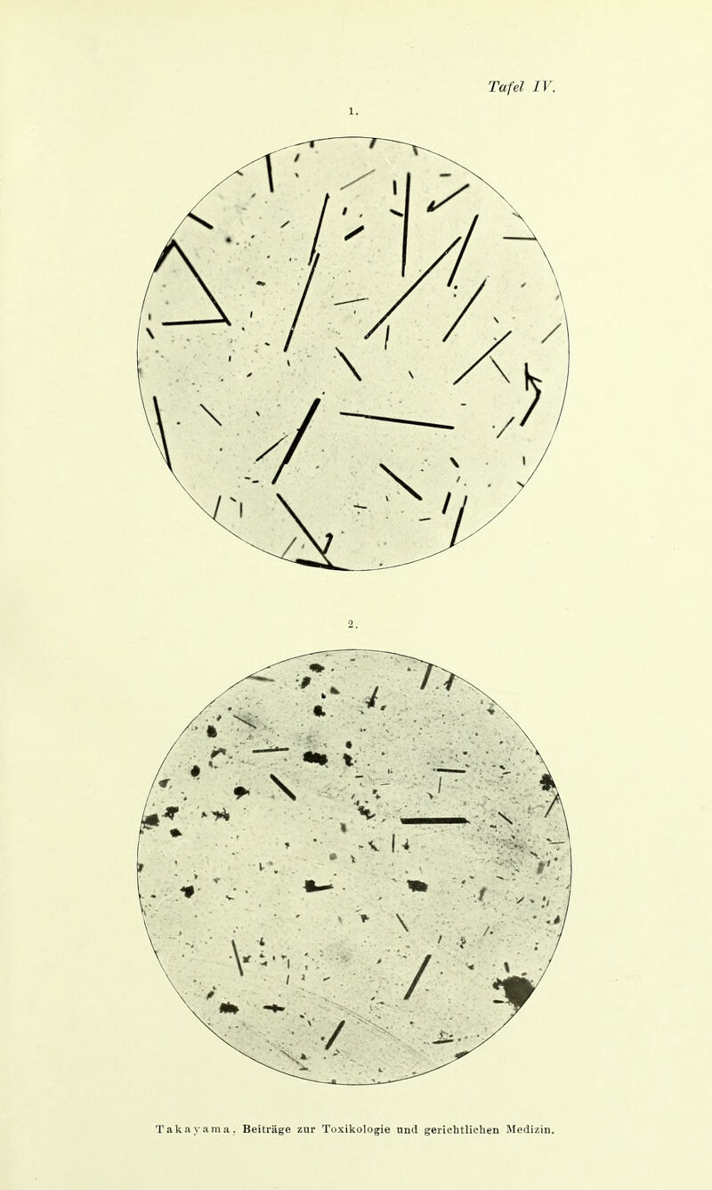 Tafel IV. 1. Takayama. Beiträge zur Toxikologie nnd gerichtlichen Medizin.