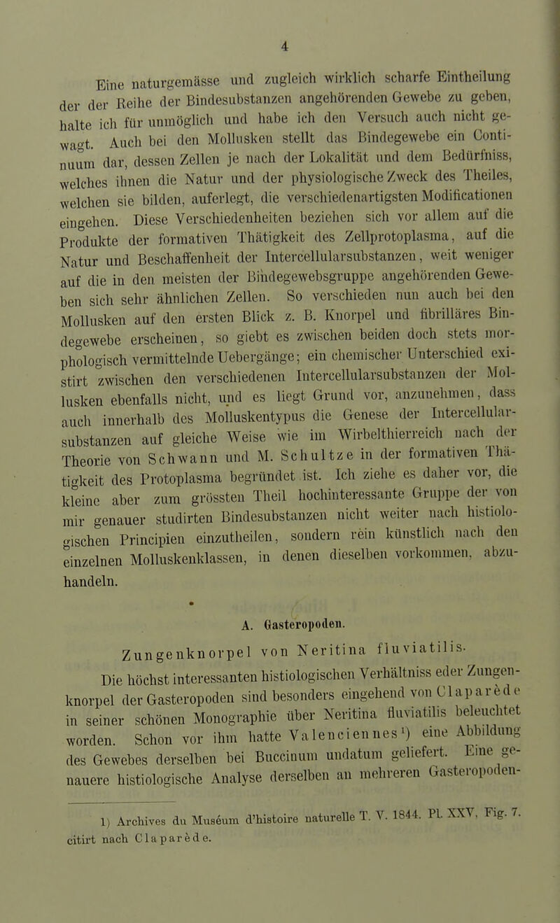 Eine naturgemässe und zugleich wirklich scharfe Eintheilung der der Reihe der Bindesubstanzen angehörenden Gewebe zu geben, halte ich für unmöglich und habe ich den Versuch auch nicht ge- wagt. Auch bei den Mollusken stellt das Bindegewebe ein Conti- nuuni dar, dessen Zellen je nach der Lokalität und dem Bedürfniss, welches ihnen die Natur und der physiologische Zweck des Theiles, welchen sie bilden, auferlegt, die verschiedenartigsten Modificationen einehen. Diese Verschiedenheiten beziehen sich vor allem auf die Produkte der formativen Thätigkeit des Zellprotoplasma, auf die Natur und Beschaffenheit der Intercellularsubstanzen, weit weniger auf die in den meisten der Bihdegewebsgruppe angehörenden Gewe- ben sich sehr ähnlichen Zellen. So verschieden nun auch bei den Mollusken auf den ersten Blick z. B. Knorpel und fibrilläres Bin- degewebe erscheinen, so giebt es zwischen beiden doch stets mor- phologisch vermittelnde Uebergänge; ein chemischer Unterschied exi- stirt zwischen den verschiedenen Intercellularsubstanzen der Mol- lusken ebenfalls nicht, und es liegt Grund vor, anzunehmen, dass auch innerhalb des Molluskentypus die Genese der Intercellular- substanzen auf gleiche Weise wie im Wirbelthierreich nach der Theorie von Schwann und M. Schnitze in der formativen Thä- tigkeit des Protoplasma begründet ist. Ich ziehe es daher vor, die kleine aber zum grössten Theil hochinteressante Gruppe der von mir genauer studirten Bindesubstanzen nicht weiter nach histiolo- oischen Principien einzutheilen, sondern rein künstlich nach den einzelnen Molluskenklassen, in denen dieselben vorkommen, abzu- handeln. A. Gasteropoden. Zungenknorpel von Neritina fluviatilis. Die höchst interessanten histiologischen Verhältniss eder Zungen- knorpel der Gasteropoden sind besonders eingehend von Claparede in seiner schönen Monographie über Neritina fluviatilis beleuchtet worden. Schon vor ihm hatte Valencienueseine Abbildung des Gewebes derselben bei Buccinum undatum geliefert. Eine ge- nauere histiologische Analyse derselben an mehreren Gasteropoden- 1) Archives du Museum d'histoire naturelle T. V. 1844. PL XXV, Fig. 7. citirt nach Claparede.