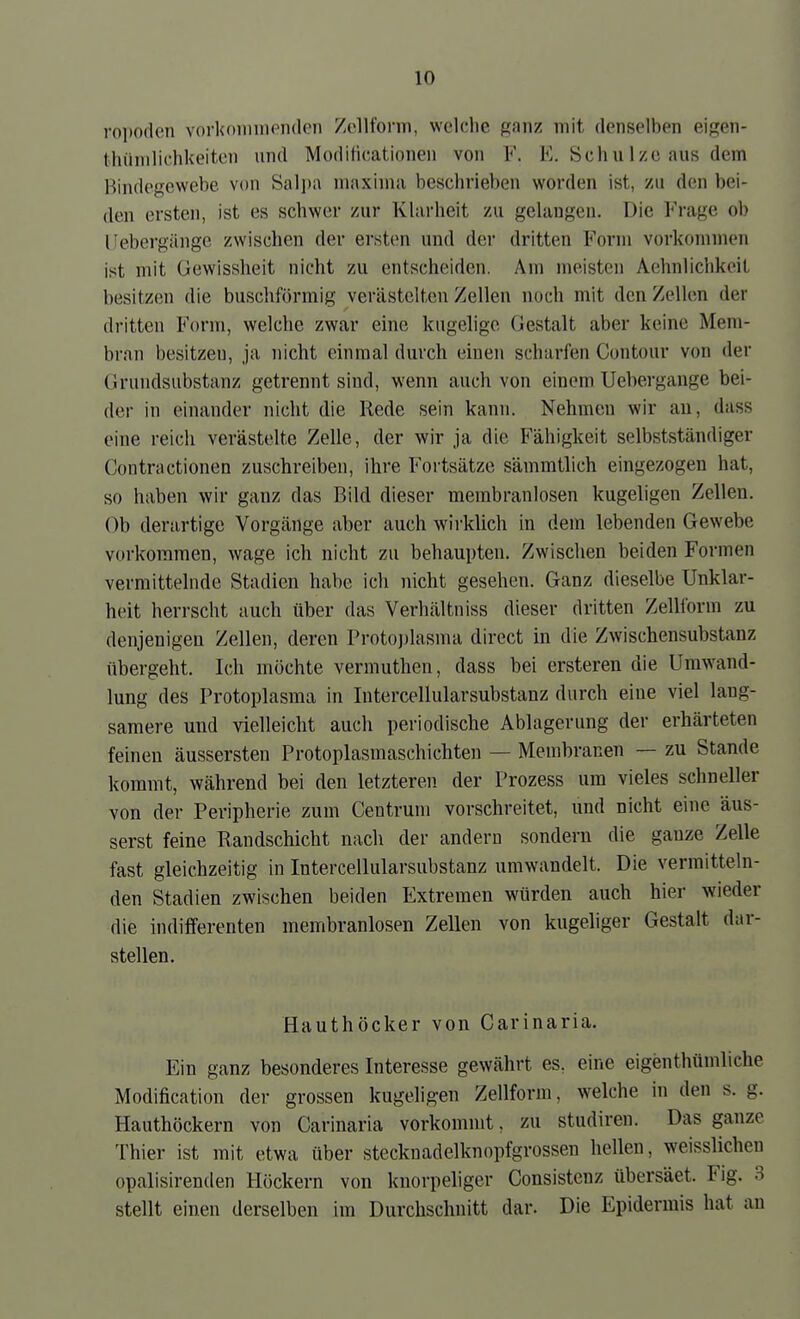 ro])od('n vorl(()niiiHMi(lcn Zollform, welche ganz mit denselben eigen- thüuilichkeitcn und Modilicationen von F. E. Schu 1 ze aus dem Bindegewebe von Salpa maxima beschrieben worden ist, zu den bei- den ersten, ist es schwer zur Klarheit zu gelangen. Die Frage ob IJebergängc zwischen der ersten und der dritten Form vorkommen ist mit üewissheit nicht zu entscheiden. Am meisten Aehnlichkeil besitzen die buschfürmig verästelten Zellen noch mit den Zellen der dritten Form, welche zwar eine kugelige (Jestalt aber keine Mem- bran besitzen, ja nicht einmal durch einen scharfen Contour von der (Jrundsubstanz getrennt sind, wenn auch von einem Uebergange bei- der in einander nicht die Rede sein kann. Nehmen wir au, dass eine reich verästelte Zelle, der wir ja die Fähigkeit selbstständiger Contractionen zuschreiben, ihre Fortsätze sämmtlich eingezogen hat, so haben wir ganz das Bild dieser merabranlosen kugeligen Zellen. Ob derartige Vorgänge aber auch wirklich in dem lebenden Gewebe vorkommen, wage ich nicht zu behaupten. Zwischen beiden Formen vermittelnde Stadien habe ich nicht gesehen. Ganz dieselbe Unklar- heit herrscht auch über das Verhältniss dieser dritten Zelllorm zu denjenigen Zellen, deren Protojjlasma direct in die Zwischensubstanz übergeht. Ich möchte vermuthen, dass bei ersteren die Umwand- lung des Protoplasma in Intercellularsubstanz durch eine viel lang- samere und vielleicht auch periodische Ablagerung der erhärteten feineu äussersten Protoplasmaschichten — Membranen — zu Stande kommt, während bei den letzteren der Prozess um vieles schneller von der Peripherie zum Centrum vorschreitet, und nicht eine äus- serst feine Randschicht nach der andern sondern die ganze Zelle fast gleichzeitig in Intercellularsubstanz umwandelt. Die vermitteln- den Stadien zwischen beiden Extremen würden auch hier wieder die indifferenten membranlosen Zellen von kugeliger Gestalt dar- stellen, Hauthöcker von Carinaria. Ein ganz besonderes Interesse gewährt es, eine eigenthümliche Modification der grossen kugeligen Zellform, welche in den s. g. Hauthöckern von Carinaria vorkommt, zu studiren. Das ganze Thier ist mit etwa über stecknadelknopfgrossen hellen, weisslichen opalisirenden Höckern von knorpeliger Consistenz übersäet. Fig. 3 stellt einen derselben im Durchschnitt dar. Die Epidermis hat an