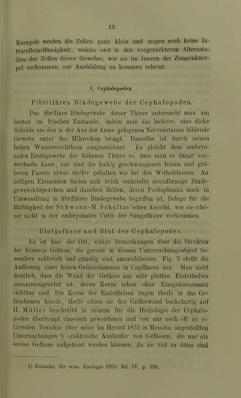 Knorpels werden die Zellen ganz klein und zeigen noch keine In- tracellulartlüssigkeit, welche erst in den vorgerückteren Alterssta- dien der Zellen dieses Gewebes, wie sie im Innern der Zungenknor- pel vorkonnnen, zur Ausbildung zu kommen scheint. C. Cephalopoden. FibriUäres Bindegewebe der Cephalopoden. Das fibrilläre Bindegewebe dieser Thiere untersucht man am besten im frischen Zustande, indem man das lockere, eine dicke Scheide um den in der Axe der Arme gelegenen Nerveustamm bildende Gewebe unter das Mikroskop bringt. Dasselbe ist durch seinen hohen Wasserreichthum ausgezeichnet. Es gleicht dem embryo- nalen Bindegewebe der höheren Thiere so, dass man es damit ver- wechseln kann, nur sind die lockig geschwungenen feineu und grö- beren Fasern etwas steifer gehalten wie bei den Wirbelthieren. Au zelligen Elementen finden sich reich verästelte sternförmige Binde- gewebskörperchen und daneben Zellen, deren Protoplasma noch in Umwandlung in fibrilläres Bindegewebe begriffen ist, Belege für die Richtigkeit der Sch wann-M. Schu Uze'sehen Ansicht, wie sie schö- ner nicht in der embryonalen Cutis der Säugethiere vorkommen. Blutgefässe und Blut der Cephalopoden. Es ist hier der Ort, einige Bemerkungen über die Struktur- der feineren Gefässe, die gerade in diesem Untersuchungsobject be- sonders zahlreich und günstig sind, anzuschliessen. Fig. 5 stellt die Auflösung eines feinen Gefässstammes in Capillareu dar. Man sieht deutlich, dass die Wand der Gefässe aus sehr platten Endothelien zusammengesetzt ist, deren Kerne schon ohne Essigsäurezusatz sichtbar sind. Die Kerne der Endothelien ragen theils in das Ge- fässluraen hinein, theils sitzen sie der Gefässwand buckelartig auf H. Müller beschreibt in seinem für die Histiologie der Cephalo- poden überhaupt classisch gewordenen und von uns noch oft zu ci- tirenden Berichte über seine im Herbst 1852 in Messina angestellten Untersuchungen ') »zahlreiche Ausläufer von Gefässen, die nur als seröse Gefässe aufgefasst werden können, da sie viel zu dünn sind