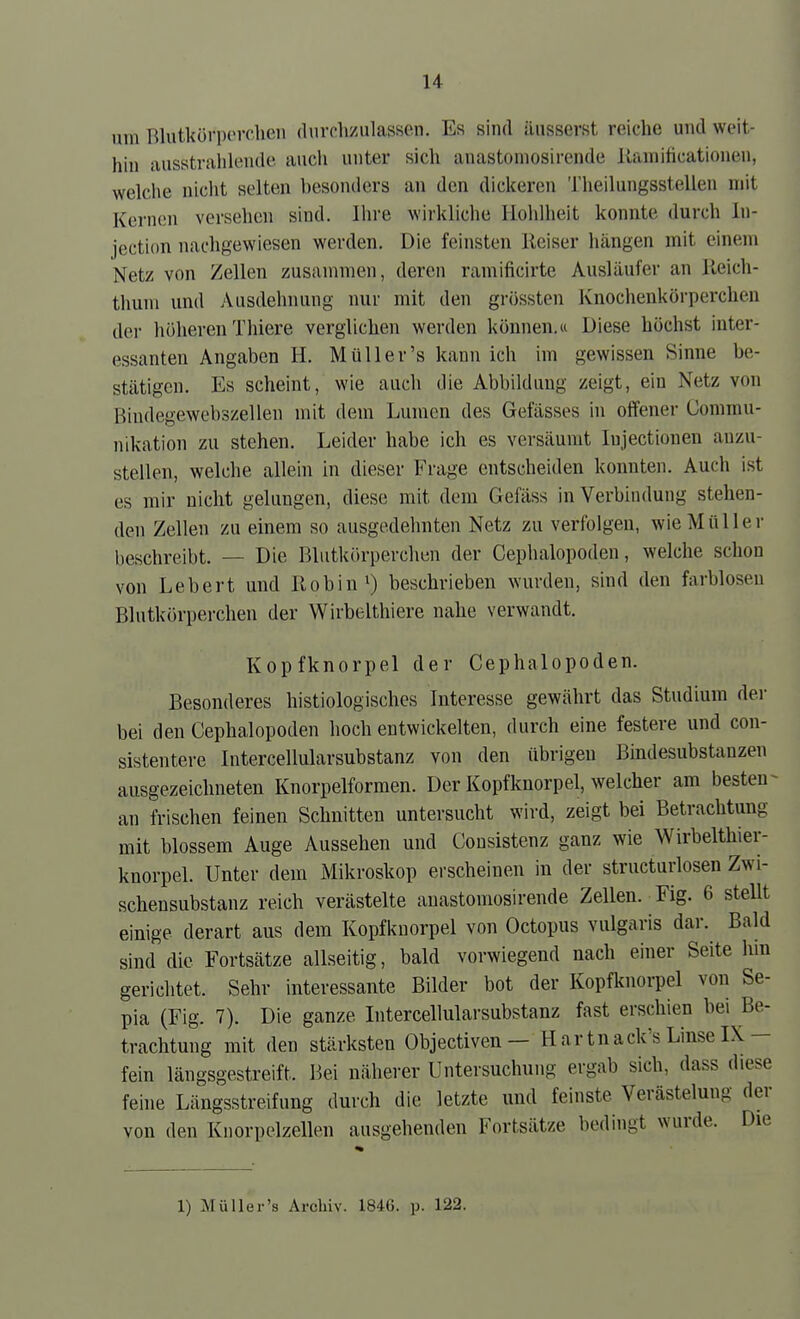 um Blutkörperchen durcli/ulasscMi. Es sind äusserst reiche und weit- hin iUisstralileiuU' auch unter sich anastoniosirende Kamificationeu, welche niciit selten besonders an den dickeren Theilungsstellen mit Kernen versehen sind. Ihre wirkliche Hohlheit konnte durch In- jection nachgewiesen werden. Die feinsten Reiser hängen mit einem Netz von Zellen zusammen, deren ramificirte Ausläufer an Reich- thuni und Ausdehnung nur mit den grössten Knochenkörperclien der höheren Thiere verglichen werden können.« Diese höchst inter- essanten Angaben H. Müller's kann ich im gewissen Sinne be- stätigen. Es scheint, wie auch die Abbildung zeigt, ein Netz von Biudegewebszellen mit dem Lumen des Gefässes in offener Commu- nikation zu stehen. Leider habe ich es versäumt lujectionen anzu- stellen, welche allein in dieser Frage entscheiden konnten. Auch ist es mir nicht gelungen, diese mit dem Gefäss in Verbiudung stehen- den Zellen zu einem so ausgedehnten Netz zu verfolgen, wie Müller beschreibt. — Die Blutkörperchen der Cephalopoden, welche schon von Lebert und Robin 0 beschrieben wurden, sind den farblosen Blutkörperchen der Wirbelthiere nahe verwandt. Kopfknorpel der Cephalopoden. Besonderes histiologisches Interesse gewährt das Studium der bei den Cephalopoden hoch entwickelten, durch eine festere und con- sistentere Intercellularsubstanz von den übrigen Bindesubstanzen ausgezeichneten Knorpelformen. Der Kopfknorpel, welcher am besten- an frischen feinen Schnitten untersucht wird, zeigt bei Betrachtung mit blossem Auge Aussehen und Cousistenz ganz wie Wirbelthier- knorpel. Unter dem Mikroskop erscheinen in der structurlosen Zwi- schensubstanz reich verästelte anastoniosirende Zellen. Fig. 6 stellt einige derart aus dem Kopfknorpel von Octopus vulgaris dar. Bald sind die Fortsätze allseitig, bald vorwiegend nach einer Seite hm gerichtet. Sehr interessante Bilder bot der Kopfknorpel von Se- pia (Fig. 7). Die ganze Intercellularsubstanz fast erschien bei Be- trachtung mit den stärksten Objectiven— Hartnack's Linse IX- fein längsgestreift. Bei näherer Untersuchung ergab sich, dass diese feine Längsstreifung durch die letzte und feinste Verästelung der von den Kiiorpelzellen ausgehenden Fortsätze bedingt wurde. Die 1) Müller's Archiv. 1846. p. 122.