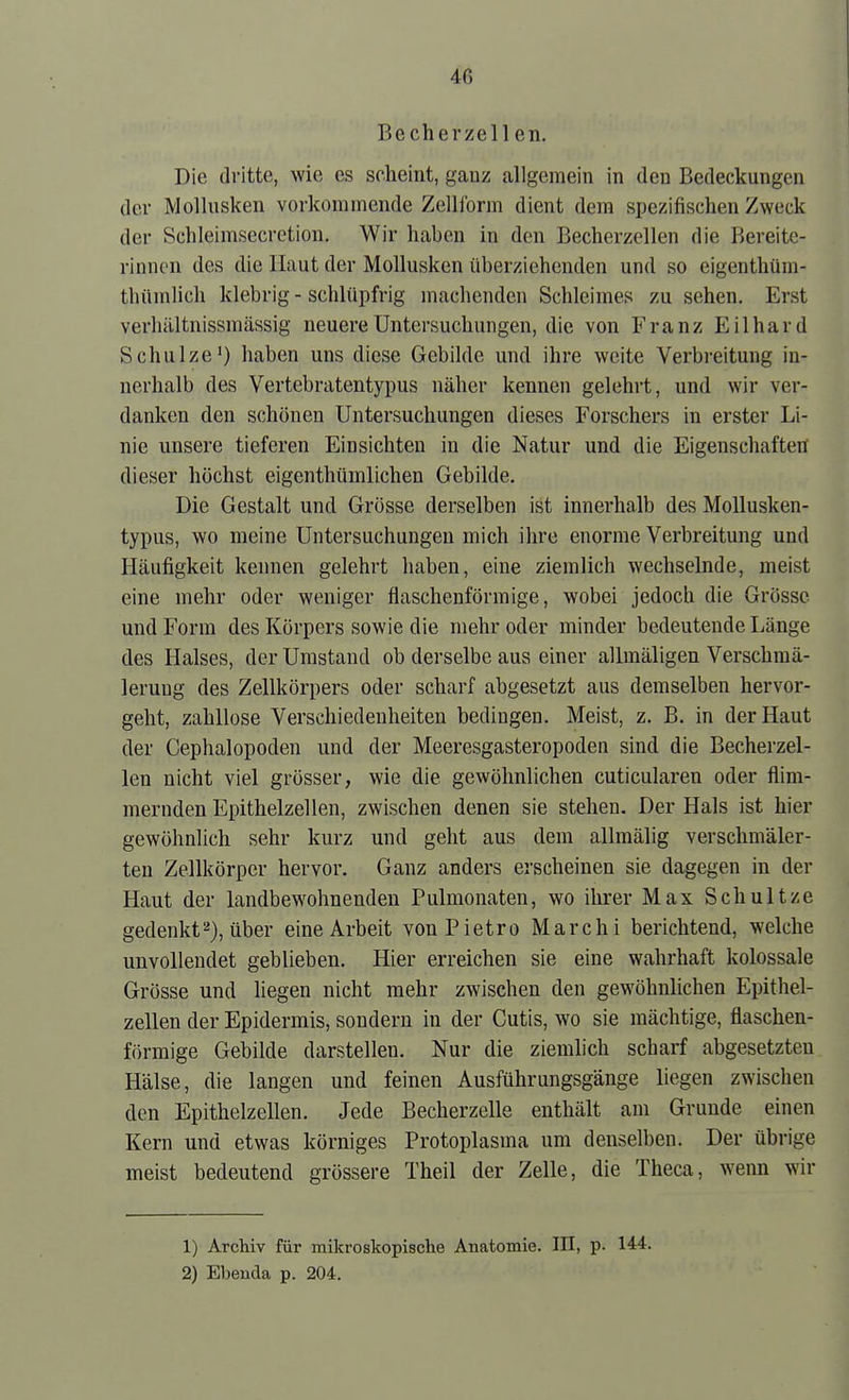 Becherzell en. Die dritte, wie es scheint, ganz allgemein in den Bedeckungen der Mollusken vorkommende Zellform dient dem spezifischen Zweck der Schleimsecretion. Wir haben in den Becherzellen die Bereite- rinnon des die Haut der Mollusken überziehenden und so eigenthüm- thümlich klebrig - schlüpfrig machenden Schleimes zu sehen. Erst verhältnissmässig neuere Untersuchungen, die von Franz Eilhard Schulze') haben uns diese Gebilde und ihre weite Verbreitung in- nerhalb des Vertebratentypus näher kennen gelehrt, und wir ver- danken den schönen Untersuchungen dieses Forschers in erster Li- nie unsere tieferen Einsichten in die Natur und die Eigenschaften dieser höchst eigenthümlichen Gebilde. Die Gestalt und Grösse derselben ist innerhalb des Mollusken- typus, wo meine Untersuchungen mich ihre enorme Verbreitung und Häufigkeit kennen gelehrt haben, eine ziemlich wechselnde, meist eine mehr oder weniger flaschenförmige, wobei jedoch die Grösse und Form des Körpers sowie die mehr oder minder bedeutende Länge des Halses, der Umstand ob derselbe aus einer allmäligen Verschmä- leruDg des Zellkörpers oder scharf abgesetzt aus demselben hervor- geht, zahllose Verschiedenheiten bedingen. Meist, z. B. in der Haut der Cephalopoden und der Meeresgasteropoden sind die Becherzel- len nicht viel grösser, wie die gewöhnlichen cuticularen oder flim- mernden Epithelzellen, zwischen denen sie stehen. Der Hals ist hier gewöhnlich sehr kurz und geht aus dem allmälig verschmäler- ten Zellkörper hervor. Ganz anders erscheinen sie dagegen in der Haut der landbewohnenden Pulmonaten, wo ihrer Max Schnitze gedenkt'-*), über eine Arbeit vonPietro Marchi berichtend, welche unvollendet geblieben. Hier erreichen sie eine wahrhaft kolossale Grösse und liegen nicht mehr zwischen den gewöhnlichen Epithel- zellen der Epidermis, sondern in der Cutis, wo sie mächtige, flaschen- förmige Gebilde darstellen. Nur die ziemlich scharf abgesetzten Hälse, die langen und feinen Ausführungsgänge liegen zwischen den Epithelzellen. Jede Becherzelle enthält am Grunde einen Kern und etwas körniges Protoplasma um denselben. Der übrige meist bedeutend grössere Theil der Zelle, die Theca, wenn wir 1) Archiv für mikroskopische Anatomie. III, p. 144. 2) Ebenda p. 204.