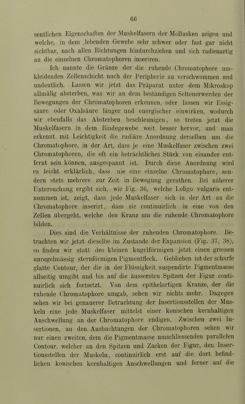 sentlichen Eigenschaften der Muskelfasern der Mollusken zeigen und welche, in dem ;lebenden Gewebe sehr schwer oder fast gar nicht sichtbar, nach allen Richtungen hindurchziehen und sich radienartig an die einzelnen Chromatophoren inseriren. Ich nannte die Gränze der die ruhende Chroniatophore um- kleidenden Zellenschicht nach der Peripherie zu verschwommen und undeutlich. Lassen wir jetzt das Präparat unter dem Mikroskop allmälig absterben, was wir an dem beständigen Scltenerwerden der Bewegungen der Chromatophoren erkennen, oder lassen wir Essig- säure oder Oxalsäure länger und energischer einwirken, wodurch wir ebenfalls das Absterben beschleunigen, so treten jetzt die Muskelfasern in dem Bindegewebe weit besser hervor, und man erkennt mit Leichtigkeit die radiäre Anordnung derselben um die Chroniatophore, in der Art, dass je eine Muskelfaser zwischen zwei Chromatophoren, die oft ein beträchtliches Stück von einander ent- fernt sein können, ausgespannt ist. Durch diese Anordnung wird es leicht erklärlich, dass nie eine einzelne Chroniatophore, son- dern stets mehrere zur Zeit in Bewegung gerathen. Bei näherer Untersuchung ergibt sich, wie Fig. 36, welche Loligo vulgaris ent- nommen ist, zeigt, dass jede Muskelfaser sich in der Art an die Chromatophore inserirt, dass sie continuirlich in eine von den Zellen übergeht, welche den Kranz um die ruhende Chromatophore bilden. Dies sind die Verhältnisse der ruhenden Chromatophore. Be- trachten wir jetzt dieselbe im Zustande der Expansion (Fig. 37, 38), so finden wir statt des kleinen kugelförmigen jetzt einen grossen unregelmässig sternförmigen Pigmentfleck. Geblieben ist der scharfe glatte Contour, der die in der Flüssigkeit suspendirte Pigmentmasse allseitig umgibt und bis auf die äussersten Spitzen der Figur conti- nuirlich sich fortsetzt. Von dem epithelartigen Kranze, der die ruhende Chromatophore umgab, sehen wir nichts mehr. Dagegen sehen wir bei genauerer Betrachtung der Insertionsstellen der Mus- keln eine jede Muskelfaser mittelst einer konischeu kernhaltigen Anschwellung an der Chromatophore endigen. Zwischen zwei In- sertionen, an den Ausbuchtungen der Chromatophoren sehen wir nur einen zweiten, dem die Pigmentmasse umschliessenden parallelen Contour. welcher an den Spitzen und Zacken der Figur, den Inser- tionsstellen der Muskeln, continuirlich erst auf die dort befind- lichen konischen kernhaltigen Anschwellungen und ferner auf die