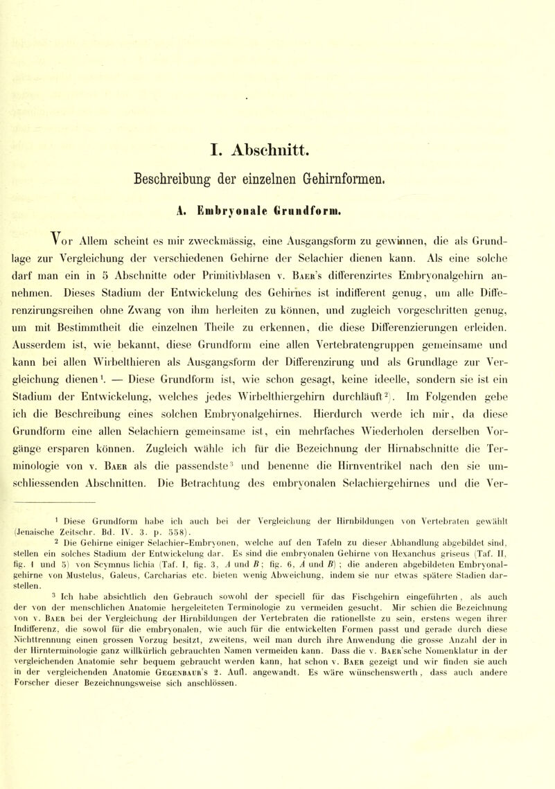 Beschreibung der einzelnen Gehirnformen. A. Embryonale Grundform. Vor Allem scheint es mir zweckmässig, eine Ausgangsform zu gewinnen, die als Grund- lage zur Vergleichung der verschiedenen Gehirne der Selachier dienen kann. Als eine solche darf man ein in 5 Abschnitte oder Primitivblasen v. Baer's differenzirtes Embryonalgehirn an- nehmen. Dieses Stadium der Entwickelung des Gehirnes ist indifferent genug, um alle Diffe- renzirungsreihen ohne Zwang von ihm herleiten zu können, und zugleich vorgeschritten genug, um mit Bestimmtheit die einzelnen Theile zu erkennen, die diese Differenzierungen erleiden. Ausserdem ist, wie bekannt, diese Grundform eine allen Vertebratengruppen gemeinsame und kann bei allen Wirbelthieren als Ausgangsform der Differenzirung und als Grundlage zur Ver- gleichung dienenl. — Diese Grundform ist, wie schon gesagt, keine ideelle, sondern sie ist ein Stadium der Entwickelung, welches jedes Wirbelthiergehirn durchläuft2). Im Folgenden gebe ich die Beschreibung eines solchen Embryonalgehirnes. Hierdurch werde ich mir, da diese Grundform eine allen Selachiern gemeinsame ist , ein mehrfaches Wiederholen derselben Vor- gänge ersparen können. Zugleich wähle ich für die Bezeichnung der Hirnabschnitte die Ter- minologie von v. Baer als die passendste3 und benenne die Hirnventrikel nach den sie um- schliessenden Abschnitten. Die Betrachtung des embryonalen Selachiergehirnes und die Ver- 1 Diese Grundform habe ich auch bei der Vergleichung der Hirnbildungen von Vertebraten gewählt (Jenaische Zeitschr. Bd. IV. 3. p. 558). 2 Die Gehirne einiger Selachier-Embryonen, welche auf den Tafeln zu dieser Abhandlung abgebildet sind, stellen ein solches Stadium der Entwickelung dar. Es sind die embryonalen Gehirne von Hexanchus griseus (Taf. II, fig. 1 und 5) von Scymnus lichia (Taf. I, fig. 3, A und B; fig. 6, A und B) ; die anderen abgebildeten Embryonal- gelnrne von Mustelus, Galeus, Carcharias etc. bieten wenig Abweichung, indem sie nur etwas spätere Stadien dar- stellen. 3 Ich habe absichtlich den Gebrauch sowohl der speciell für das Fischgehirn eingeführten , als auch der von der menschlichen Anatomie hergeleiteten Terminologie zu vermeiden gesucht. Mir schien die Bezeichnung von v. Baer bei der Vergleichung der Hirnbildungen der Vertebraten die rationellste zu sein, erstens wegen ihrer Indifferenz, die sowol für die embryonalen, wie auch für die entwickelten Formen passt und gerade durch diese Nichttrennung einen grossen Vorzug besitzt, zweitens, weil man durch ihre Anwendung die grosse Anzahl der in der Hirnterminologie ganz willkürlich gebrauchten Namen vermeiden kann. Dass die v. BAEü'sche Nomenklatur in der vergleichenden Anatomie sehr bequem gebraucht werden kann, hat schon v. Baer gezeigt und wir finden sie auch in der vergleichenden Anatomie Gegenbaur's 2. Aufl. angewandt. Es wäre wünschenswerth, dass auch andere Forscher dieser Bezeichnungsweise sich anschlössen.