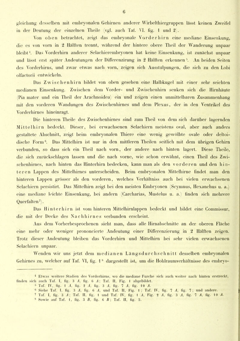 gleichling desselben mit embryonalen Gehirnen anderer Wirbelthiergruppen lässt keinen Zweifel in der Deutung der einzelnen Theile (vgl. auch Tat. VI. flg. I und 2). Von oben betrachtet, zeigt das embryonale Vorderhirn eine mediane Einsenkung, die es von vorn in 2 Hälften trennt, während der hintere obere Theil der Wanderung unpaar bleibt 4. Das Vorderhirn anderer Selachierembryonen hat keine Einsenkung, ist zunächst unpaar und lässt erst später Andeutungen der Differenzirung in 2 Hälften erkennen 5. An beiden Seiten des Vorderhirns, und zwar etwas nach vorn, zeigen sich Ausstülpungen, die sich zu den Lobi olfactorii entwickeln. Das Zwischenhirn bildet von oben gesehen eine Halbkugel mit einer sehr seichten medianen Einsenkung. Zwischen dem Vorder- und Zwischenhirn senken sich die Hirnhäute (Pia mater und ein Theil der Arachnoidea) ein und zeigen einen unmittelbaren Zusammenhang mit den vorderen Wandungen des Zwischenhirnes und dem Plexus, der in den Ventrikel des Vorderhirnes hineinragt. Die hinteren Theile des Zwischenhirnes sind zum Theil von dem sich darüber lagernden Mittelhirn bedeckt. Dieser, bei erwachsenen Selachiern meistens oval, aber auch anders gestaltete Abschnitt, zeigt beim embryonalen Thiere eine wenig gewölbte ovale oder deltoi- dische Form0. Das Mittelhirn ist nur in den mittleren Theilen seitlich mit dem übrigen Gehirn verbunden, so dass sich ein Theil nach vorn, der andere nach hinten lagert. Diese Theile, die sich zurückschlagen lassen und die nach vorne, wie schon erwähnt, einen Theil des Zwi- schenhirnes, nach hinten das Hinterhirn bedecken, kann man als den vorderen und den hin- teren Lappen des Mittelhirnes unterscheiden. Beim embryonalen Mittelhirne findet man den hinteren Lappen grösser als den vorderen, welches Verhältniss auch bei vielen erwachsenen Selachiern persistirt. Das Mittelhirn zeigt bei den meisten Embryonen (Scymnus, Hexanchus u. a.) eine mediane leichte Einsenkung, bei andern (Carcharias, Mustelus u. a.) finden sich mehrere Querfalten7). Das Hinterhirn ist vom hinteren Mittelhirnlappen bedeckt und bildet eine Commissur, die mit der Decke des Nachhirnes verbunden erscheint. Aus dem Vorherbesprochenen sieht man, dass alle Hirnabschnitte an der oberen Fläche eine mehr oder weniger prononcierte Andeutung einer Differenzierung in 2 Hälften zeigen. Trotz dieser Andeutung bleiben das Vorderhirn und Mittelhirn bei sehr vielen erwachsenen Selachiern unpaar. Wenden wir uns jetzt dem medianen Längsdurchschnitt desselben embryonalen Gehirnes zu, welcher auf Taf. VI, fig. 18 dargestellt ist, um die Hohlraumverhältnisse des embryo- 4 Etwas weitere Stadien des Vorderhirns, wo die mediane Furche sich auch weiter nach hinten erstreckt, finden sich auch Taf. I, fig. 3 A, fig. 6 A\ Taf. II, Fig. 1 abgebildet. 5 Taf. IV, fig. \ A, fig. 2 A, fig. 3 A, flg. 7 A, fig. 10 A. 6 Siehe Taf. I, fig. 3 A, fig. 6 A, und Taf. II, Fig. 1 ; Taf. IV, fig. 7 A, fig. 7; und andere. 7 Taf. I, fig. 3 A; Taf. II, fig. 1 und Taf. IV, fig. \ A, Fig. 2 A, fig. 3 A, fig. 7 A, fig. 10 A. 8 Sowie auf Taf. 1, fig. 3 B, fig. 6 B; Taf. II, fig. 5.