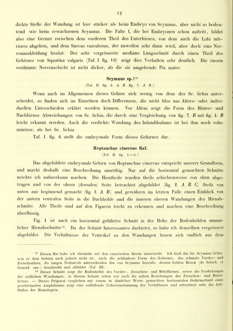 dickte Stelle der Wandung ist hier stärker als beim Embryo von Scymnus, aber nicht so bedeu- tend wie beim erwachsenen Scymnus. Die Falte f, die bei Embryonen schon auftritt, bildet also eine Grenze zwischen dem vorderen Theil des Unterhirnes, von dem auch die Lobi infe- riores abgehen, und dem Saccus vasculosus, der zuweilen sehr dünn wird, aber doch eine Ner- venauskleidung besitzt. Der sehr vergrösserte mediane Längsschnitt durch einen Theil des Gehirnes von Squatina vulgaris (Taf. I. fig. \ 0) zeigt dies Verhalten sehr deutlich. Die enorm verdünnte Nervenschicht ist nicht dicker, als die sie umgebende Pia mater. Scymnus sp.?17 (Tat. II. fig. 6. A. B. fig. 7. A. B.) Wenn auch im Allgemeinen dieses Gehirn sich wenig von dem des Sc. lichia unter- scheidet, so finden sich im Einzelnen doch Differenzen, die nicht blos aus Alters- oder indivi- duellen Unterschieden erklärt werden können. Vor Allem zeigt die Form des Hinter- und Nachhirnes Abweichungen von Sc. lichia, die durch eine Vergleichung von fig. 7. B mit fig. 4. B leicht erkannt werden. Auch die verdickte Wandung des Infundibulums ist bei ihm noch volu- minöser, als bei Sc. lichia. Taf. I. fig. 6 stellt die embryonale Form dieses Gehirnes dar. Heptanchus cinereus ßaf. (Taf. II. (ig. 1—6.) Das abgebildete embryonale Gehirn von Heptanchus cinereus entspricht unserer Grundform, und macht deshalb eine Beschreibung unnöthig. Nur auf die horizontal gemachten Schnitte möchte ich aufmerksam machen. Die Hirntheile wurden theils schichtenweise von oben abge- tragen und von der obern (dorsalen) Seite betrachtet abgebildet (fig. 2. A. B. C) theils von unten aus beginnend gemacht (fig. 3. A. B) und gewähren im letzten Falle einen Einblick von der untern ventralen Seite in die Dachhöhle und die inneren oberen Wandungen der Hirnab- schnitte. Alle Theile sind auf den Figuren leicht zu erkennen und machen eine Beschreibung überflüssig. Fig. 4 ist auch ein horizontal geführter Schnitt in der Höhe der Bodenhöhlen sämmt- licher Hirnabschnittels. Da der Schnitt Interessantes darbietet, so habe ich denselben vergrössert abgebildet. Die Verhältnisse der Ventrikel zu den Wandungen lassen sich endlich aus dem 17 Diesen Hai habe ich ebenfalls auf den canarischen Inseln untersucht. Ich hielt ihn für Scymnus lichia, was er dem Gehirn nach jedoch nicht ist; auch die schlankere Form des Gehirnes, das schmale Vorder- und Zvvischenhirn, die langen Pedunculi unterscheiden ihn von Scymnus borealis, dessen Gehirn Busch (de Selach. et Ganoid. enc.) beschreibt und abbildet (Taf. III). 18 Dieser Schnitt zeigt die Bodenhöhle des Vorder-, Zwischen- und Mittelhirnes, sowie die Verdickungen der seitlichen Wandungen ; in diesem Schnitt sehen wir auch die nahen Beziehungen des Zwischen- und Mittel- hirnes. — Dieses Präparat verglichen mit einem in ähnlicher Weise gemachten horizontalen Gehirnschnitt eines geschwänzten Amphibiums zeigt eine auffallende Uebereinstimmung der Verhältnisse und erleichtert sehr das Auf- finden der Homologien.