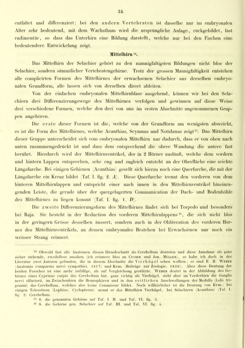 entfaltet und differenziert; bei den andern Vertebraten ist dasselbe nur im embryonalen Alter sehr bedeutend, mit dem Wachsthum wird die ursprüngliche Anlage, rückgebildet, fast rudimentär, so dass das Unterhirn eine Bildung darstellt, welche nur bei den Fischen eine bedeutendere Entwickelung zeigt. Mittelhirn14. Das Mittelhirn der Selachier gehört zu den mannigfaltigsten Bildungen nicht blos der Selachier, sondern sämmtlicher Vertebratengehirne. Trotz der grossen Mannigfaltigkeit entstehen alle complicirten Formen des Mittelhirnes der erwachsenen Selachier aus derselben embryo- nalen Grundform, alle lassen sich von derselben direct ableiten. Von der einfachen embryonalen Mittelhirnblase ausgehend, können wir bei den Sela- chiern drei Differenzierungswege des Mittelhirnes verfolgen und gewinnen auf diese Weise drei verschiedene Formen, welche den drei von uns im ersten Abschnitte angenommenen Grup- pen angehören. Die erste dieser Formen ist die, welche von der Grundform am wenigsten abweicht, es ist die Form des Mittelhirnes, welche Acanthias, Scymnus und Notidanus zeigt15. Das Mittelhirn dieser Gruppe unterscheidet sich vom embryonalen Mittelhirn nur dadurch, dass er von oben nach unten zusammengedrückt ist und dass dem entsprechend die obere Wandung die untere fast berührt. Hierdurch wird der Mittelhirnventrikel, der in % Hörner ausläuft, welche dem vordem und hintern Lappen entsprechen, sehr eng und zugleich entsteht an der Oberfläche eine seichte Längsfurche. Bei einigen Gehirnen (Acanthias) gesellt sich hierzu noch eine Querfurche, die mit der Längsfurche ein Kreuz bildet (Taf. I. flg. 2. A). Diese Querfurche trennt den vorderen von dem hinteren Mittelhirnlappen und entspricht einer nach innen in den Mittelhirnventrikel hineinra- genden Leiste, die gerade über der quergelagerten Communication der Dach- und Bodenhöhle des Mittelhirnes zu liegen kommt (Taf. 1. fig. I. D). Die zweite Differenzierungsform des Mittelhirnes findet sich bei Torpedo und besonders bei Baja. Sie besteht in der Beduction des vorderen Mittelhirnlappens10, die sich nicht blos in der geringem Grösse desselben äussert, sondern auch in der Obliteration des vorderen Hor- nes des Mittelhirnventrikels, an dessen embryonales Bestehen bei Erwachsenen nur noch ein weisser Strang erinnert. 14 Obwohl fast alle Anatomen diesen Hirnabschnitt als Cerebellum deuteten und diese Annahme als ganz sieher stehende, zweifellose ansahen (ich erinnere blos an Cuvier und Joh. Müller), so habe ich doch in der Literatur zwei Autoren gefunden, die in diesem Abschnitte die Vierhügel sehen wollten; es sind E. H. Weber (Anatomia comparata nervi sympathici, 18 17) und Kühl (Beiträge zur Zoologie, 1820). Aber diese Deutung der beiden Forscher ist eine mehr zufällige, als auf Vergleichung gestützte. Weber deutet in der Abbildung des Ge- hirnes eines Cyprinus carpio das Cerebellum Ant. ganz richtig als Vierhügel, sieht aber im Vorderhirn die Ganglia nervi olfactorii, im Zwischenhirn die Hemisphären und in den seitlichen Anschwellungen der Medulla (Lobi tri— gemini) das Cerebellum, welches also keine Commissur bildet. Noch willkürlicher ist die Deutung von Kühl; bei einigen Teleostiern (Lophius, Cyclopterus) nennt er das Mittelhirn Vierhügel, bei Selachiern (Acanthias) (Taf. I. fig. 3) Cerebellum. 15 S. die genannten Gehirne auf Taf. I. II. und Taf. VI. fig. 3. 16 S. die Gehirne gen. Selachier auf Taf. III. und Taf. VI. fig. 4.