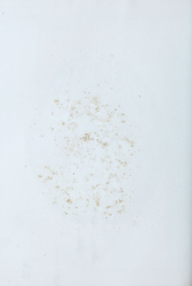 *.• ! 4 :& * * * . ë ’ t 1 ^ , •k- ... 4'