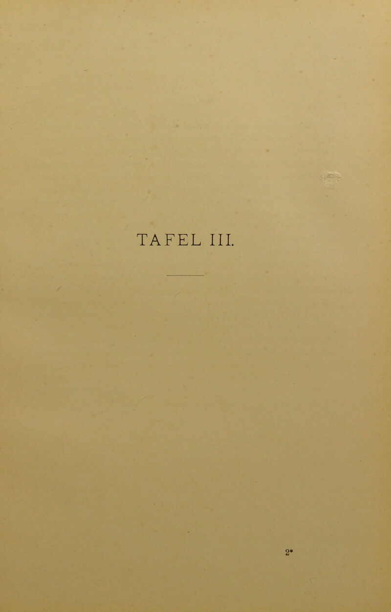TAFEL III.