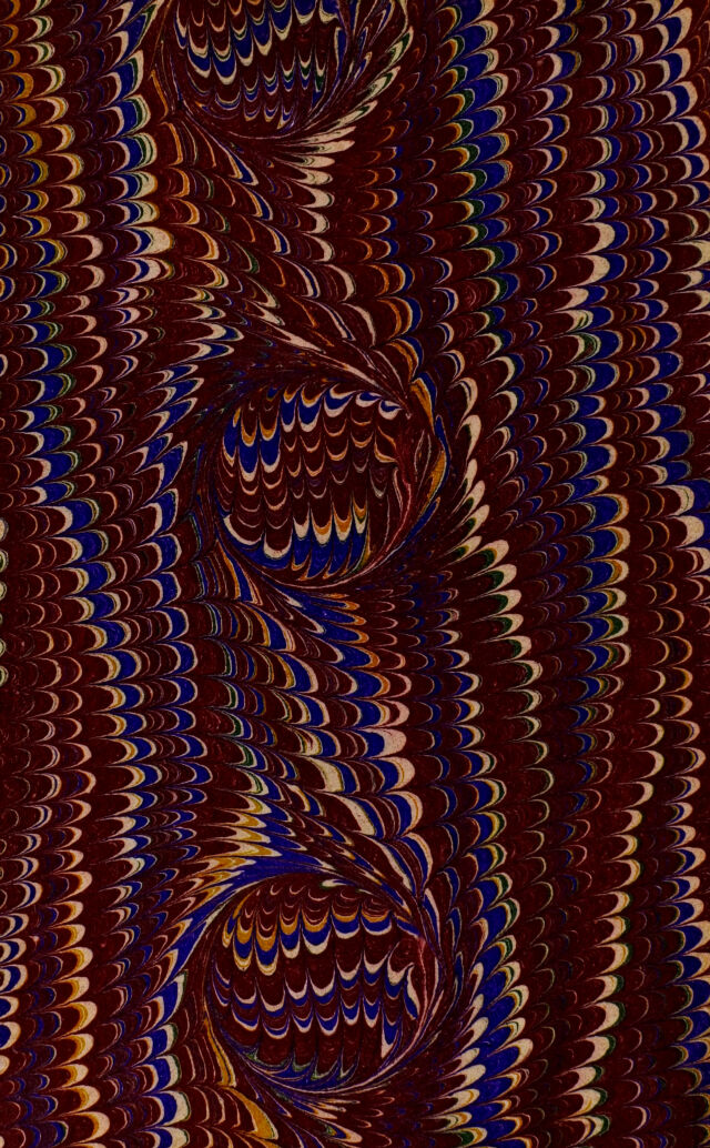 No text description is available for this image