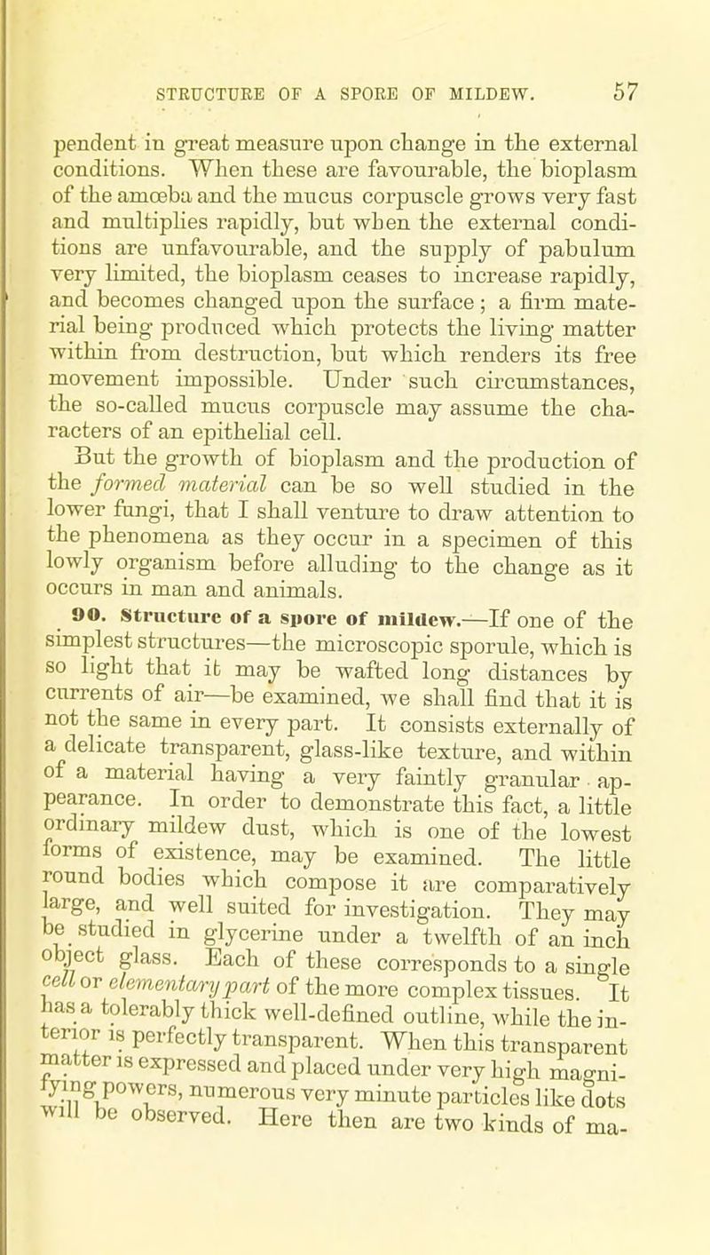 pendent in great measure upon change in the external conditions. When these are favourable, the bioplasm of the amoeba and the mucus corpuscle grows very fast and multiphes rapidly, but when the external condi- tions are unfavourable, and the supply of pabulum very limited, the bioplasm ceases to increase rapidly, and becomes changed upon the surface; a firm mate- rial being pi^oduced which protects the living matter within from destruction, but which renders its free movement impossible. Under such cu'cumstances, the so-called mucus corpuscle may assume the cha- racters of an epithehal cell. But the growth of bioplasm and the production of the formed material can be so well studied in the lower fangi, that I shall venture to draw attention to the phenomena as they occur in a specimen of this lowly organism before alluding to the change as it occurs in man and animals. 90. Structure of a spore of mildew.—If one of the simplest structui-es—the microscopic sporule, which is so light that it may be wafted long distances by currents of air—be examined, we shall find that it is not the same in every part. It consists externally of a delicate transparent, glass-like texture, and within of a material having a very faintly gramilar ap- pearance. In order to demonstrate this fact, a little ordmary mildew dust, which is one of the lowest forms of existence, may be examined. The little round bodies which compose it are comparatively large, and well suited for investigation. They may be studied in glycerine under a twelfth of an inch object glass. Each of these corresponds to a single celi or elementary part of the more complex tissues It has a tolerably thick well-defined outline, while the in- terior IS perfectly transparent. When this transparent matter is expressed and placed under very high raao-ni- tying powers, numerous very minute particles like dots will be observed. Here then are two kinds of ma-