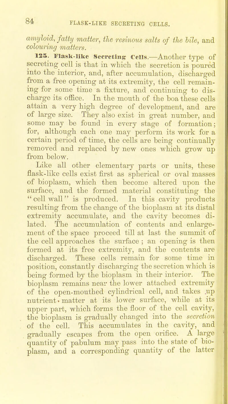 FLASE-LIKE SECRETING CELLS. amyloid, fatty matter, the resinous salts of the hile, and colouring matters. 125. Flask-liltc Secreting Cells.—Another type of secreting cell is tliat in whicli tlie secretion is pom-ed into the interior, and, after accumulation, discharged from a free opening at its extremity, the cell remain- ing for some time a fixture, and continuing to dis- charge its office. In the mouth of the boa these cells attain a very high degree of development, and are of large size. Th-ey also exist in gTeat number, and some may be found in every stage of formation; for, although each one may perform its work for a certain period of time, the cells are being continually removed and replaced by new ones which gi-ow up from below. Like all other elementary parts or units, these flask-like cells exist first as spherical or oval masses of bioplasm, which then become altered upon the surface, and the formed material constituting the cell wall is produced. In this cavity products resulting from the change of the bioplasm at its distal extremity accumulate, and the cavity becomes di- lated. The accumulation of contents and enlai'ge- ment of the space proceed till at last the summit of the cell approaches the surface ; an opening is then formed at its free extremity, and the contents are discharged. These cells remain for some time in position, constantly discharging the secretion which is being formed by the bioplasm in their interior. The bioplasm remains near the lower attached extremity of the open-mouthed cylindrical cell, and takes .up nutrient. matter at its lower surface, while at its upper part, which forms the floor of the cell cavity, the bioplasm is gradually changed into the secretion of the cell. This accumulates in the cavity, and gradually escapes from the open orifice. A large quantity of pabulum may pass into the state of bio- plasm, and a corresponding quantity of the latter