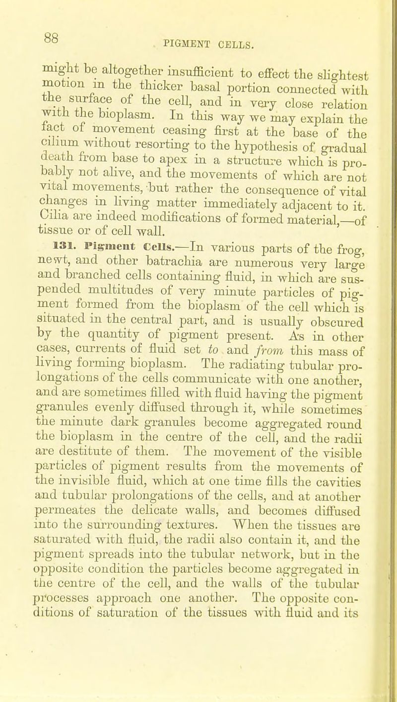 PIGMENT CELLS. might be altogether insufficient to effijct the sh^^htest motion m the thicker basal portion connected with the surface of the cell, and in very close relation with the bioplasm. In this way we may explam the tact ot movement ceasing first at the base of the cilium without resorting to the hypothesis of gi^adual death from base to apex hi a structui^e which is pro- bably not ahve, and the movements of which are not vital movements, but rather the consequence of vital changes ixi living matter immediately adjacent to it. Giha are indeed modifications of formed material —of tissue or of cell wall. ' 131. Pigment CeUs.—In various parts of the frog, newt, and other batrachia are numerous very large a,nd branched cells containing fluid, in which are sus- pended multitudes of very minute particles of pig- ment formed from the bioplasm of the cell which Is situated in the central part, and is usually obscured by the quantity of pigment present. As in other cases, currents of fluid set to and fro7n this mass of living forming bioplasm. The radiating tubular pro- longations of the cells communicate with one another, and are sometimes filled with fluid having the pigment granules evenly difiused thi'ough it, while sometimes the minute dark granules become aggregated round the bioplasm in the centre of the cell, and the radii are destitute of them. The movement of the visible particles of pigment results from the movements of the invisible fluid, which at one time fills the cavities and tubular prolongations of the cells, and at another permeates the delicate walls, and becomes difiused into the surrounding textures. When the tissues are saturated with fluid, the radii also contain it, and the pigment spreads into the tubular network, but in the opposite condition the particles become aggregated in the centre of the cell, and the walls of the tubular processes approach one another. The opposite con- ditions of saturation of the tissues with fluid and its