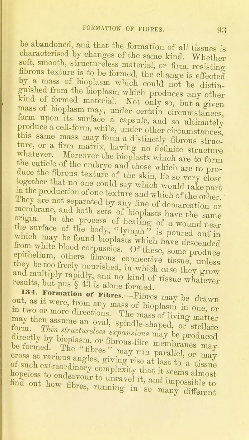 be abandoned, and that tlie formation of aU tissues is characterised by cbanges of the same kind. Whether soft, smooth, structureless material, or firm, resistine- fibrous texture is to be formed, the change is efi-ected bj a mass of bioplasm which could not be distin- guished from the bioplasm which produces any other kmd of formed material. Not only so, but a given mass of bioplasm may, under certain circumstances iorm upon its surface a capsule, and so ultimately produce a cell-form, while, under other circumstances this same mass may form a distinctly fibrous struc- Iw ^ If ^° structure whatever Moreover the bioplasts which are to form the cuticle of the embryo and those which are to pro- duce the fibrous textui-e of the skin. He so very cbse together that no one could say which would take mrt m the production of one textu/e and which of the other 2m}Zi: Twf y '^^ °f demarcation or r S^ £ '''' of bioplasts have the same tTe^LfaS S Wy '^^ ^ which may be found bfoWSr^'nich^haCtae^ from white blood corpuscles. Of these, somrproduce epithelium, others fibrous connective tissuef unless anymult-°l '^^-fr^^/^' ^^^'^ 7 grow be fonJed^ The ' fiCsmembranes may cross at varioufanlrLv ^™^;r'^^' ^4 ofsuchextrao4inafy c'oSn l^^ ^ Hopeless to endeavour fn ^ ^?^ almost find out how Xe7runnr ^^^''^^^ *° nores, running m so many difierent