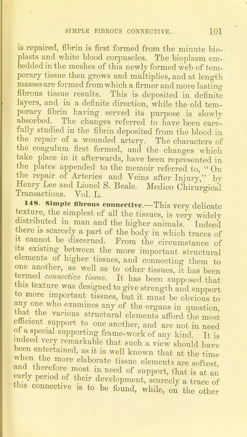 is repaired, fil)riii is first formed from the minute bio- plasts and white blood corpuscles. The bioplasm em- bedded in the meshes of this newly formed web of tem- porary tissue then grows and multiplies, and at length masses are formed from which a firmer and more lasting fibrous tissue results. This is deposited in definite layers, and in a definite direction, while the old tem- porary fibrin having served its purpose is slowly absorbed. The changes referred to have been care- fully studied in the fibrin deposited from the blood in the repair of a wounded artery. The characters of the coagulum first formed, and the changes which take place in it afterwards, have been represented in the plates appended to the memoir referred to,  On the repair of Arteries and Veins after Injuiy, by Henry Lee aud Lionel S. Beale. Medico Chirorgical Transactions. Yol. L. 148. Simple fibrous coniiectiye.—This very delicate texture, the simplest of all the tissues, is very widely (hstributed in man and the higher animals. Indeed there is scarcely a part of the body in which traces of it cannot be discerned. From the circumstance of its existing between the more important structural elements of higher tissues, and connecting them to one another, as well as to other tissues, it has been termed connecUve tissue. It has been supposed that tins texture was designed to give strength and support to more important tissues, but it must be obvious to any one who examines any of the organs in question, that the various structural elements afford the most efficient support to one another, and are not in need ot a special supporting frame-work of any kind. It is indeed very remarkable that such a view should have been entertained, as it is well known that at the time rnHfT. f™' elaborate tissue elements are softest, and therefore most m need of support, that is at an early period of their development, scarcely a trace of this comiective is to be found, while, on the other