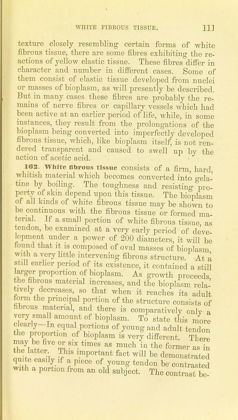WHITE FIBROUS TISSUE, 11] texture closely resembling certain forms of white fibrous tissue, there are some fibres exhibiting the re- actions of yellow elastic tissue. These fibres diflfer in character and number in different cases. Some of them consist of elastic tissue developed from nuclei or masses of bioplasm, as will presently be described. But in many cases these fibres are probably the re- mains of nerve fibres or capillary vessels Avhich had been active at an earlier period of life, while, in some instances, they result from the prolongations of the bioplasm being converted into imperfectly developed fibrous tissue, which, like bioplasm itself, is not ren- dered transparent and caused to swell up by the action of acetic acid. 162. White fibrous tissue consists of a firm, hard whitish material which becomes converted into gela- tine by boiling. The toughness and resisting pro- perty of skm depend upon this tissue. The bioplasm of all kmds of white fibrous tissue may be shown to be continuous with the fibrous tissue or formed ma- terial. If a small portion of white fibrous tissue, as tendon, be examined at a very early period of de've lopment under a power of 200 diameters, it will be found that it is composed of oval masses of bioplasm with a very httle intervening fibrous structure. At a still earHer period of its existence, it contained a still larger proportion of bioplasm. As growth proceeds, the fibrous material mcreases, and the bioplasm rela- tively decreases, so that when it reaches its adult form the prmcipal portion of the structure consists of fibrous material, and there is comparatively only a very small amount of bioplasm. To state this more clearly-In equal portions of young and adult tendon the proportion of bioplasm is very difPerent. There niay be five or six times as much in the former as S the latter This important fact will be demonstrated qmte easily if a piece of young tendon be' contrS ed with a portion from an old subject. The contrast be-