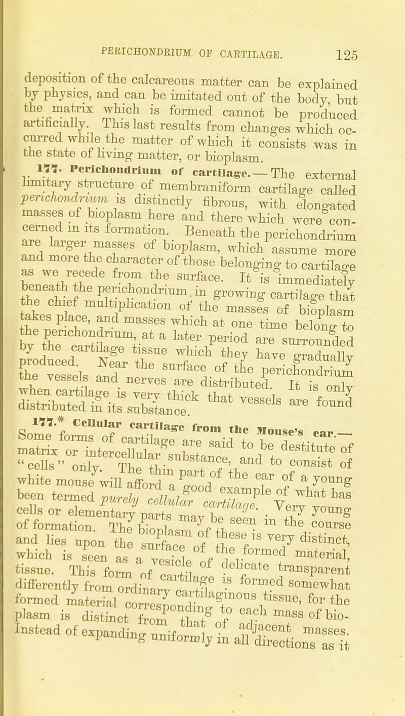 deposition of the calcareous matter can be explained by physics, and can be imitated out of the body but the matrix which is formed cannot be produced artificially. This last results from changes which oc- cun-ed while the matter of which it consists was in the state of hvmg matter, or bioplasm. ITJ. Perichoudilum of cartilage.—The external Inmtary structure of membraniform cartilage caUed perichondpurn is distinctly fibrous, with elongated masses of bioplasm here and there which were con- cerned m its formation. Beneath the perichondrium are laa-ger masses of bioplasm, which assume more and more the character of those belonging to cartilage lenZhZ T i-imediately the ^hiJ Pf;:^f growing cartilage that the chief multiphcation of the masses of bioplasm akes place, and masses which at one time belong t^ b. tCtT^;' ^'^^ P^^^^d are suiJunded by the cartilage tissue which they have gradually produced. Near the surface nf fL . • f^^^^^^^y the vpq^Pl« ^ii™ce ot the penchondnum tne vessels and nerves are distributed. It is onlv !>!>:* CeUiaar cartilage from the Mouse's ear — white mon.e^ilulri°a'S=^d°«amptof VIT^ been termed nurph, r^lh,! ^™P^e of what has cells or elelSlS mVbe • \^i^ of formation. The bionLm nf+1 and lies upon th: of S:fore7m'?^1' which IS seen as n .^^^^^/ormed material, tissue. This fo^ of cartLf transparent difierentlyfromOTdinarv - ^^^^^ somewhat formed materSl co rSondi '^ plasm is distinct fror ttT*;^'^,^^^^^^^^ Instead of expanding^ifoX^i^ ateon?^^^^^^