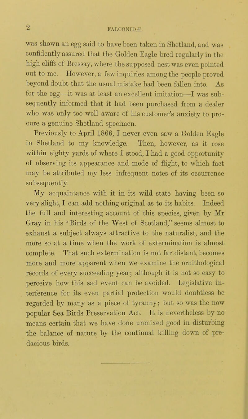 was shown an egg said to have been taken in Shetland, and was confidently assured that the Golden Eagle bred regularly in the high cliffs of Bressay, where the supposed nest was even pointed out to me. However, a few inquiries among the people proved beyond doubt that the usual mistake had been fallen into. As for the egg—it was at least an excellent imitation—I was sub- sequently informed that it had been purchased from a dealer who was only too well aware of his customer's anxiety to pro- cure a genuine Shetland specimen. Previously to April 1866,1 never even saw a Golden Eagle in Shetland to my knowledge. Then, however, as it rose within eighty yards of where 1 stood, I had a good opportunity of observing its appearance and mode of fhght, to which fact may be attributed my less infrequent notes of its occurrence subsequently. My acquaintance with it in its wild state having been so very slight, I can add nothing original as to its habits. Indeed the full and interesting account of this species, given by 'Mr Gray in his Birds of the West of Scotland, seems almost to exhaust a subject always attractive to the naturalist, and the more so at a time when the work of extermination is almost complete. That such extermination is not far distant, becomes more and more apparent when we examine the ornithological records of every succeeding year; although it is not so easy to perceive how this sad event can be avoided. Legislative in- terference for its even partial protection would doubtless be regarded by many as a piece of tyranny; but so was the now popular Sea Birds Preservation Act. It is nevertheless by no means certain that we have done nnmixed good in disturbing the balance of nature by the continual killing down of pre- dacious birds.